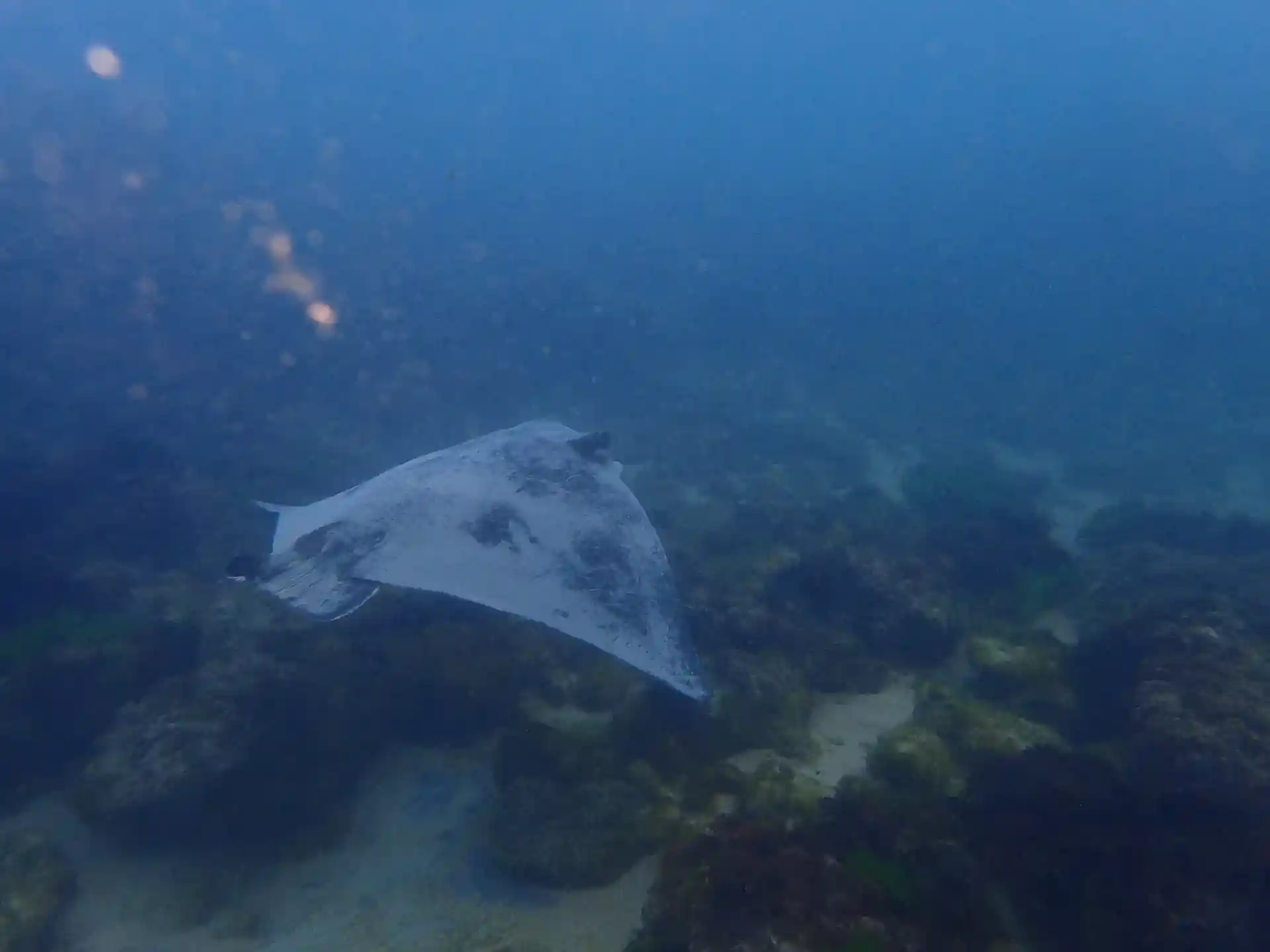 Dive site photo