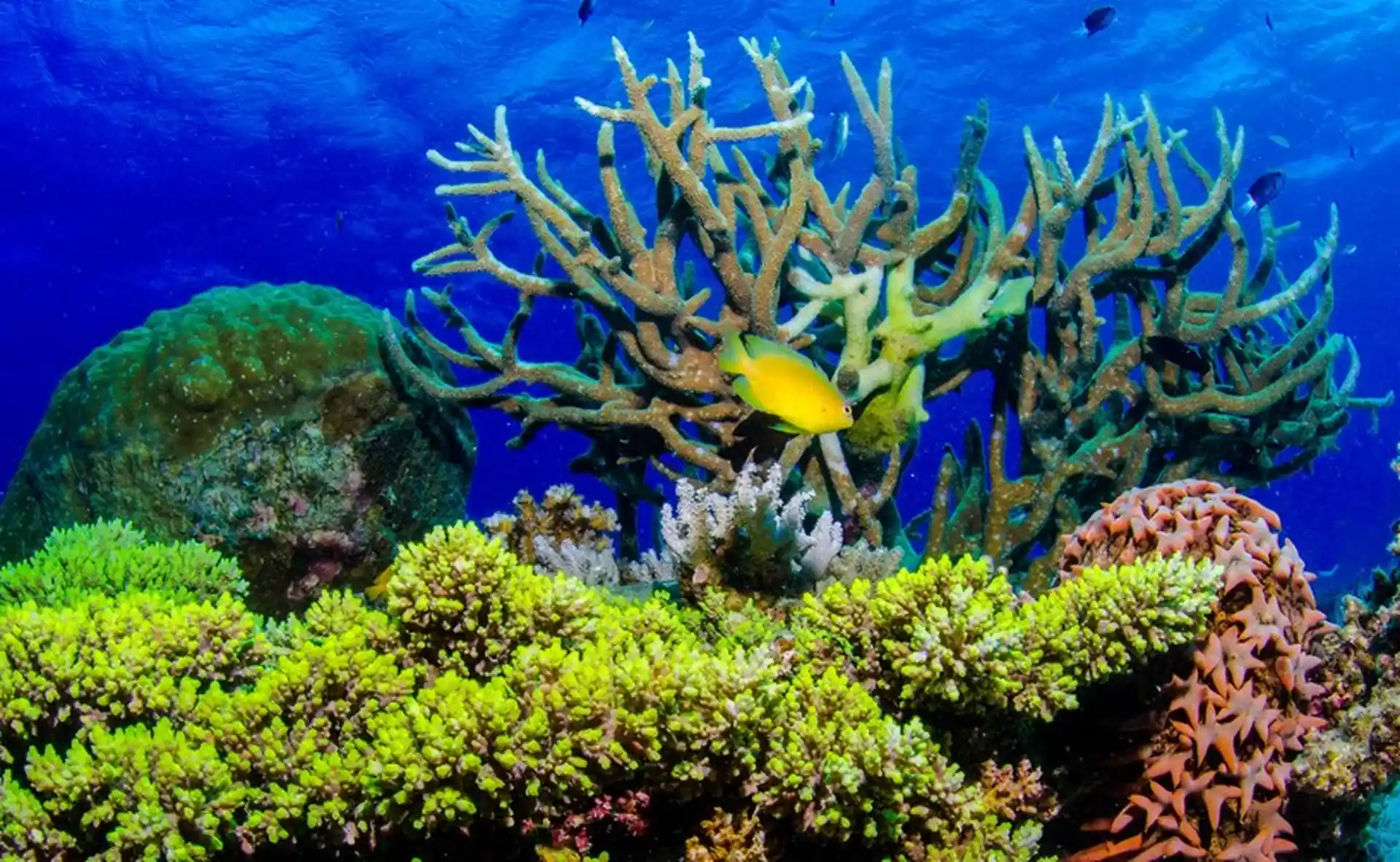 Dive shop photo