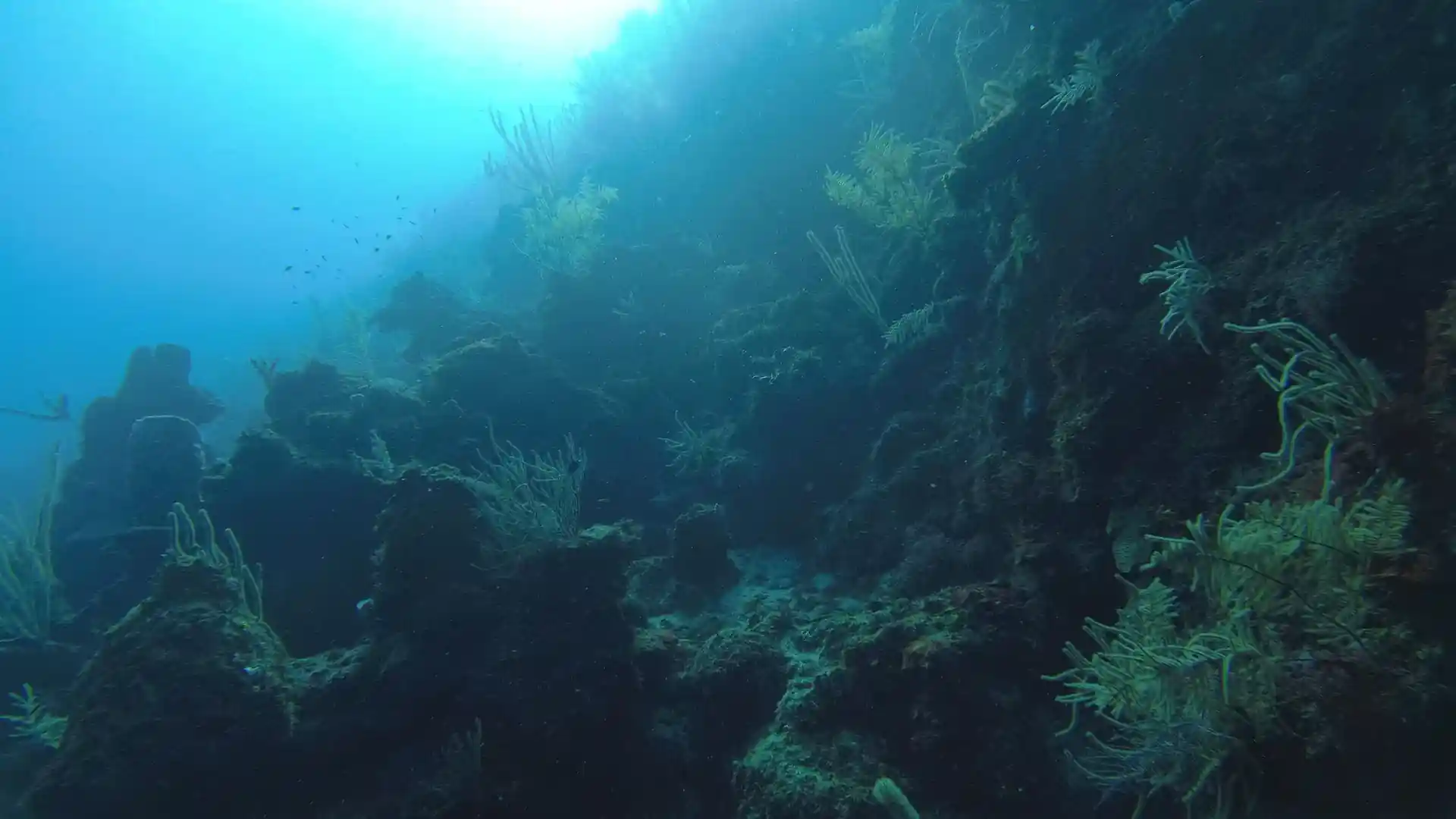 Dive site photo