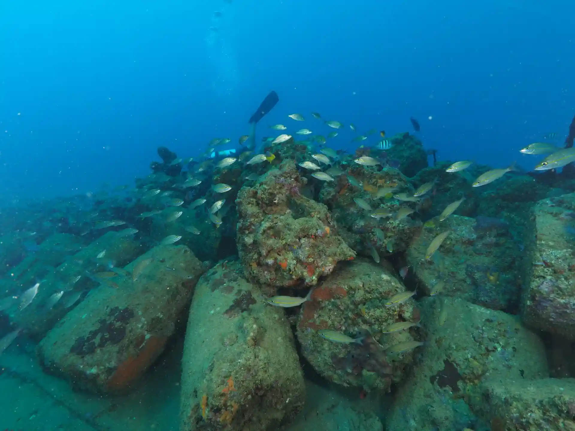 Photo du site de plongée