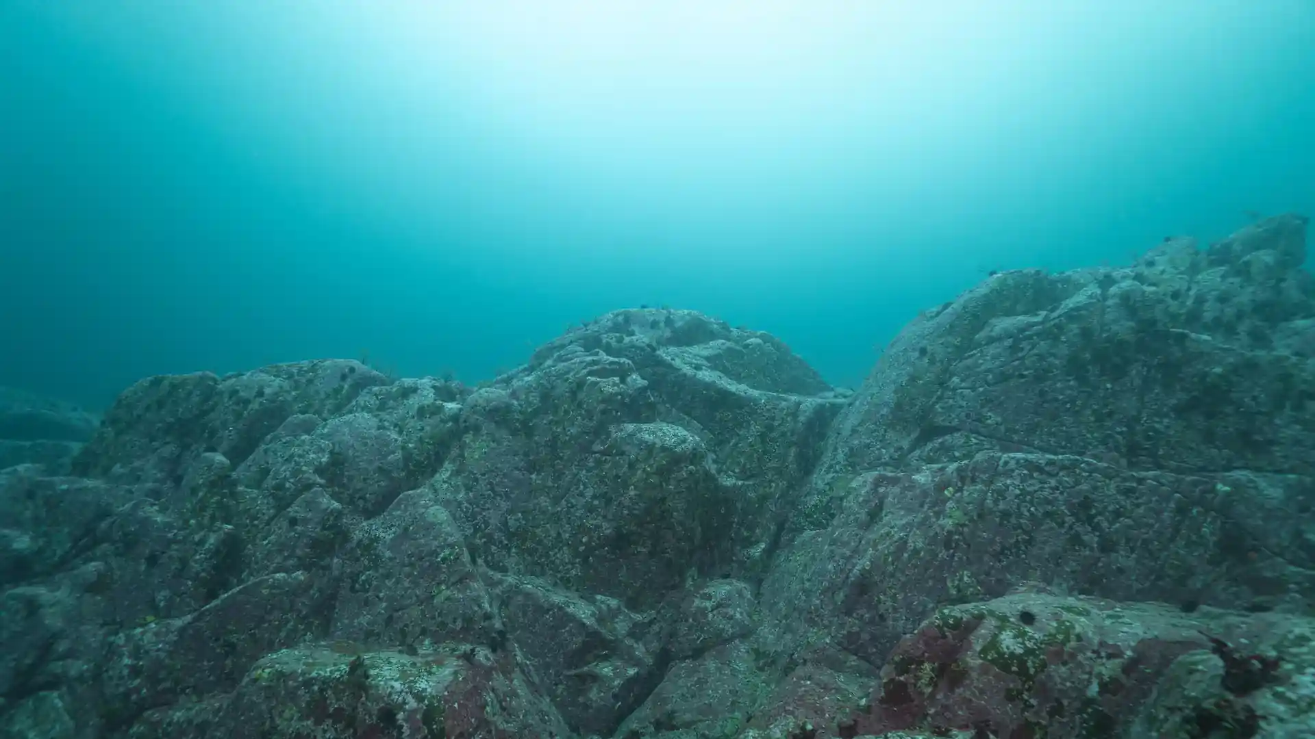 다이빙 포인트 사진