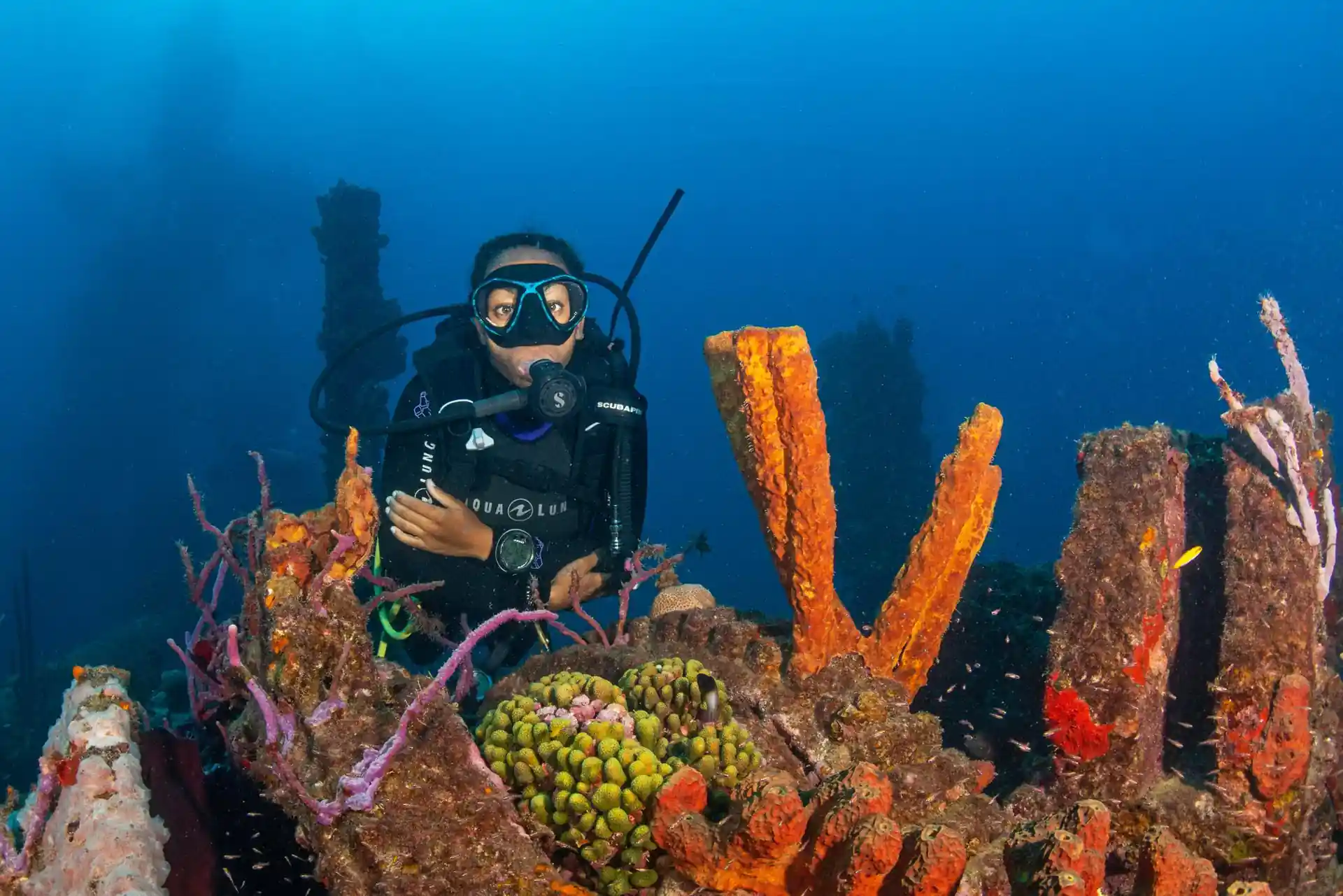 Dive site photo