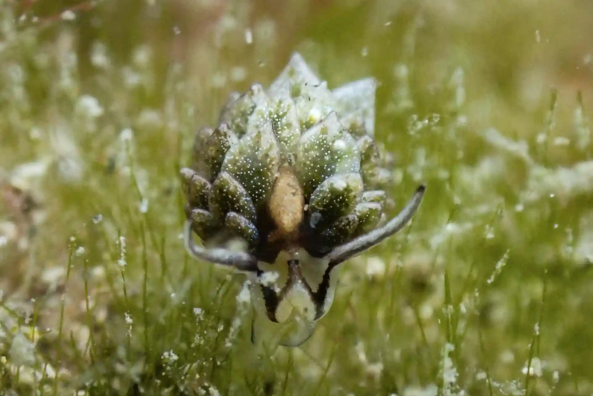 Foto del sitio de buceo