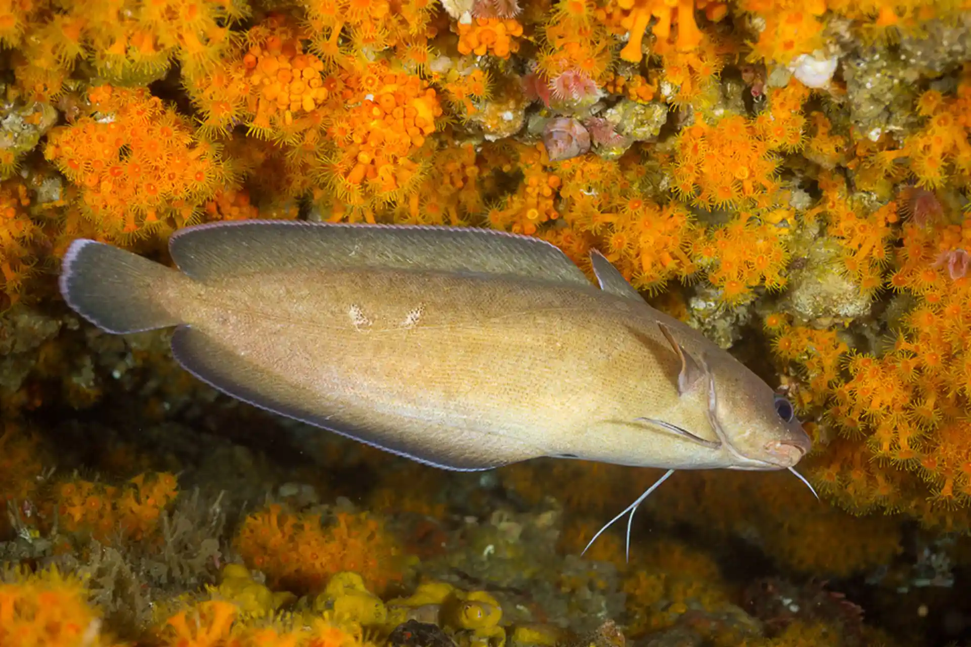 Dive site photo