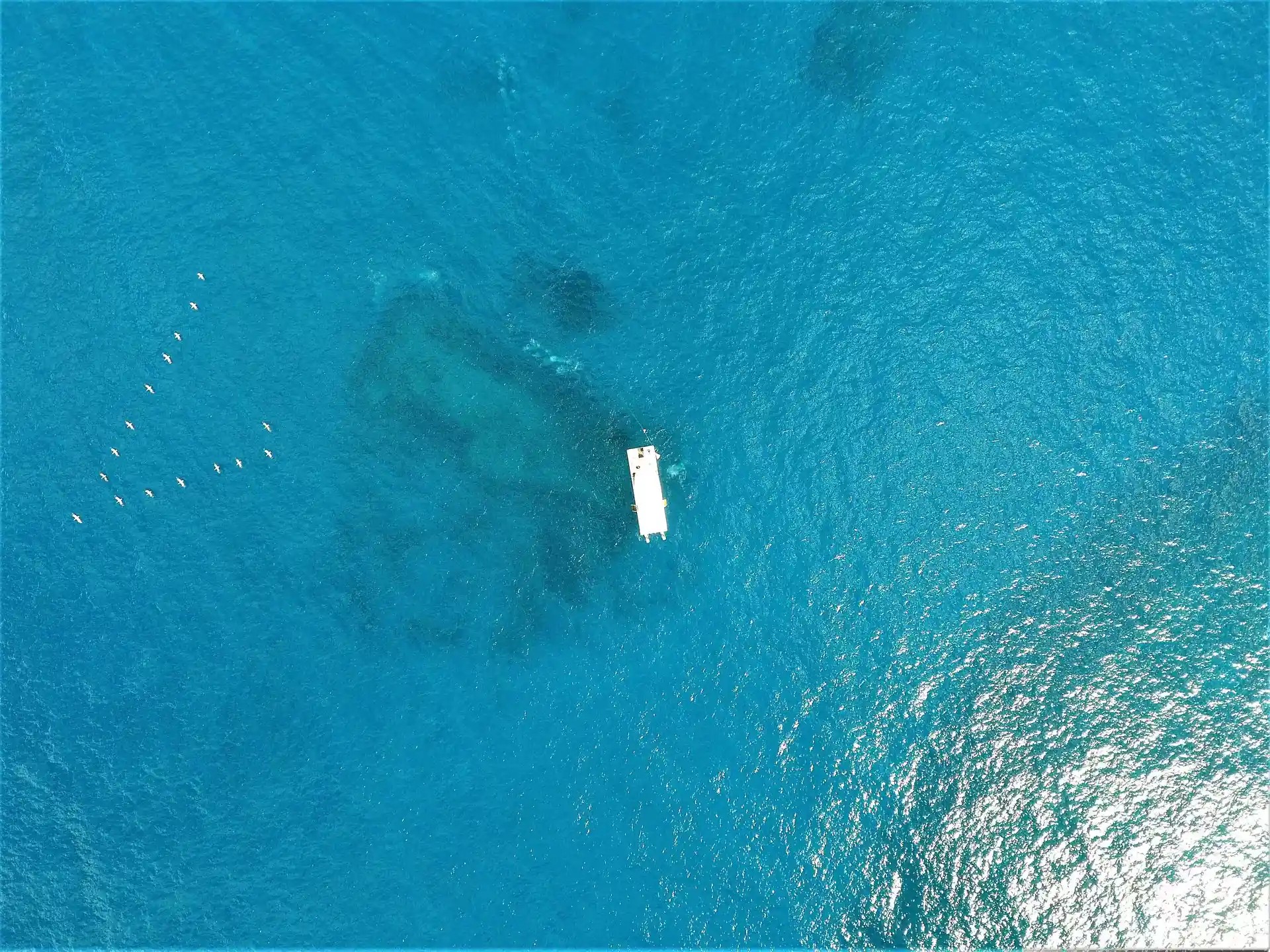 Foto van de duiklocatie