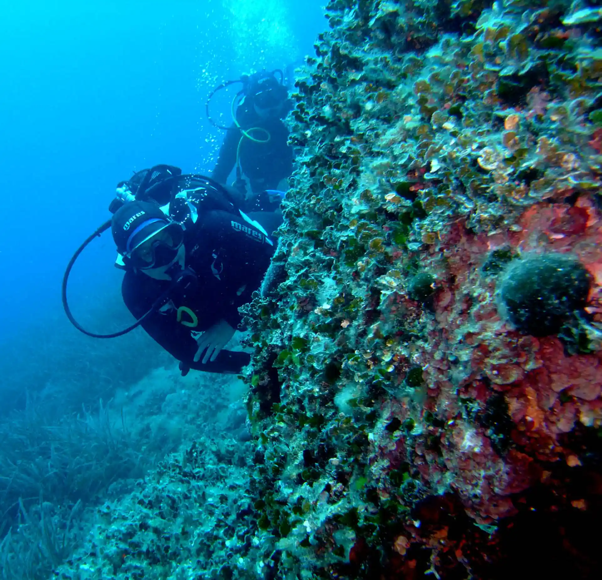 Grebeni dive site