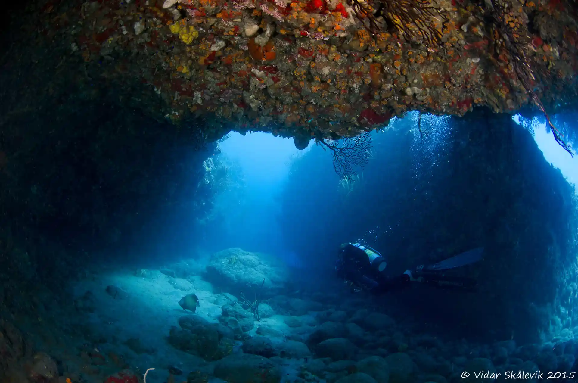 다이빙 포인트 사진