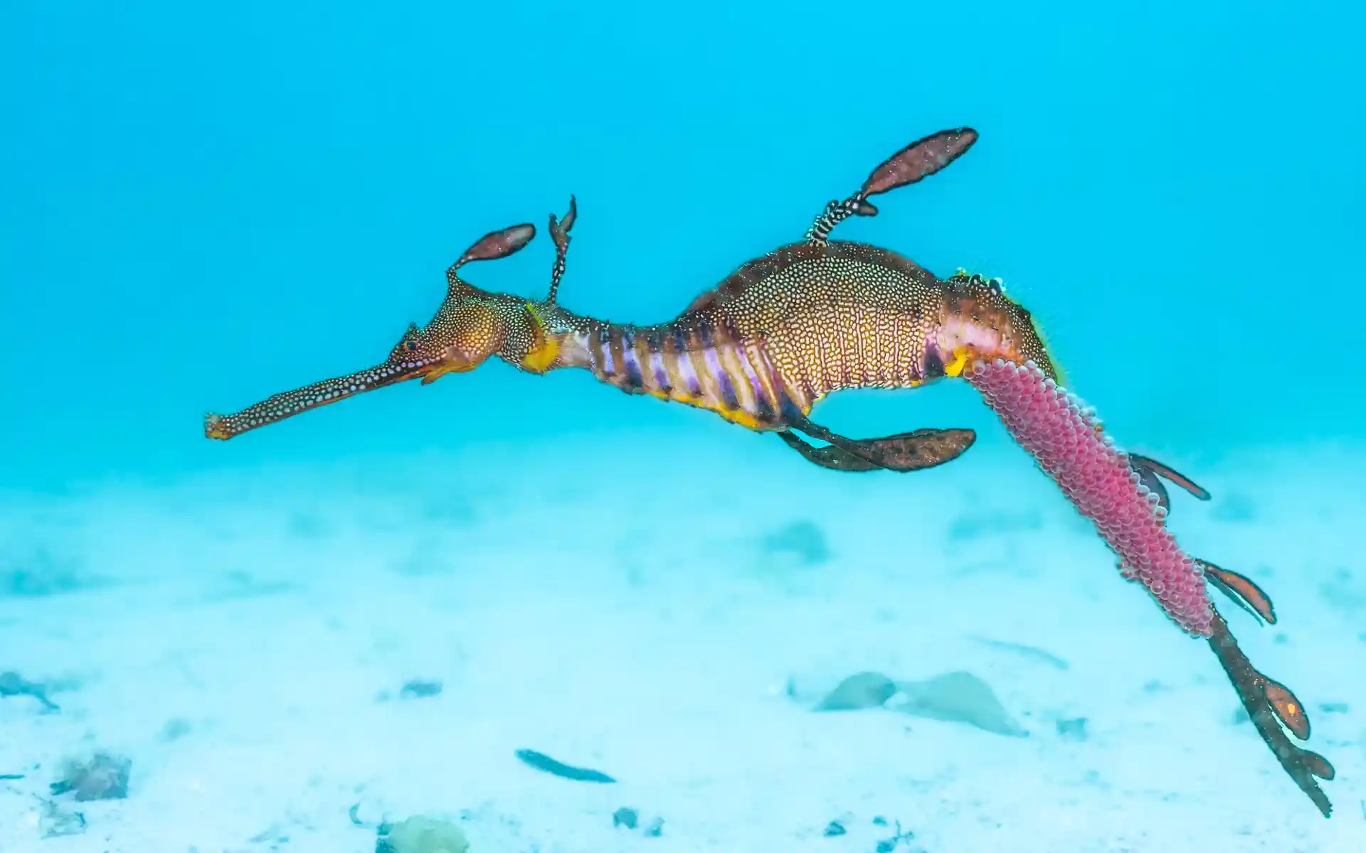 Dive shop photo