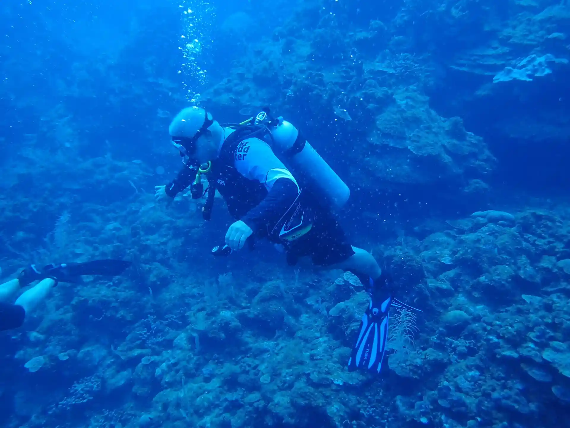 Dive site photo