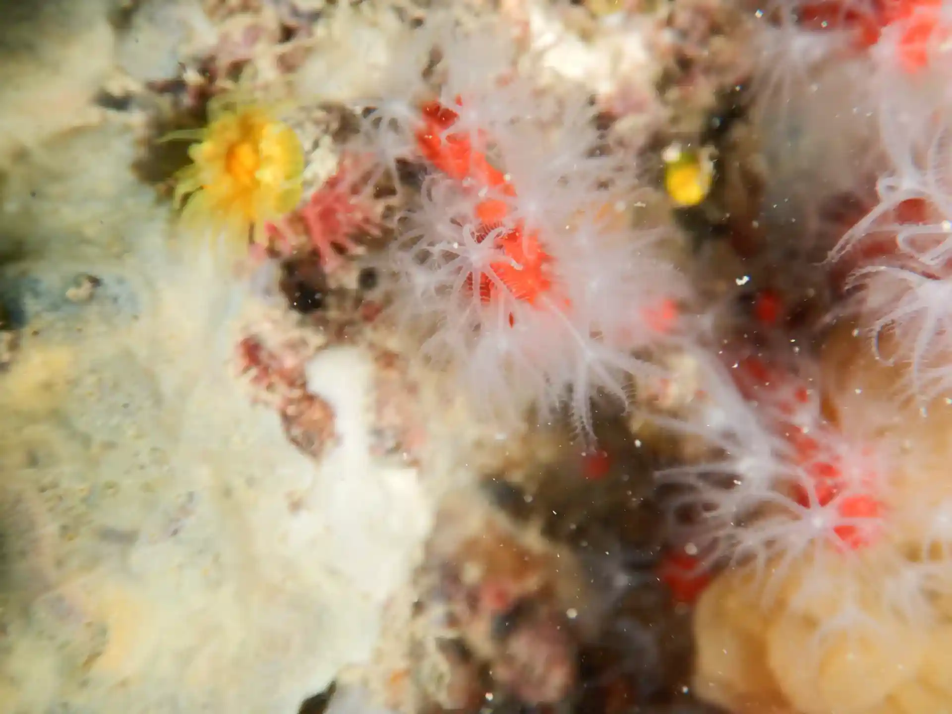 다이빙 포인트 사진