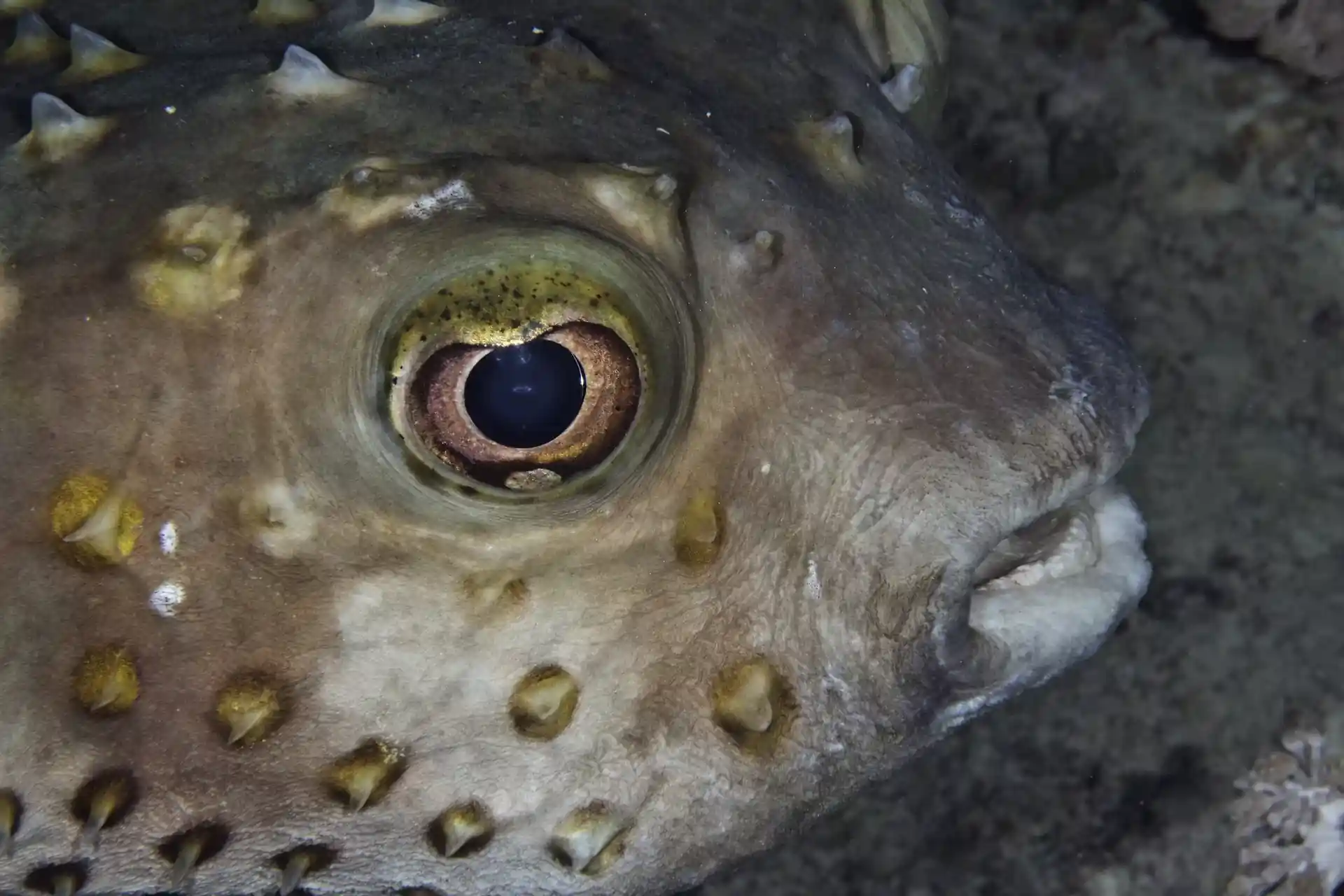 Dive site photo