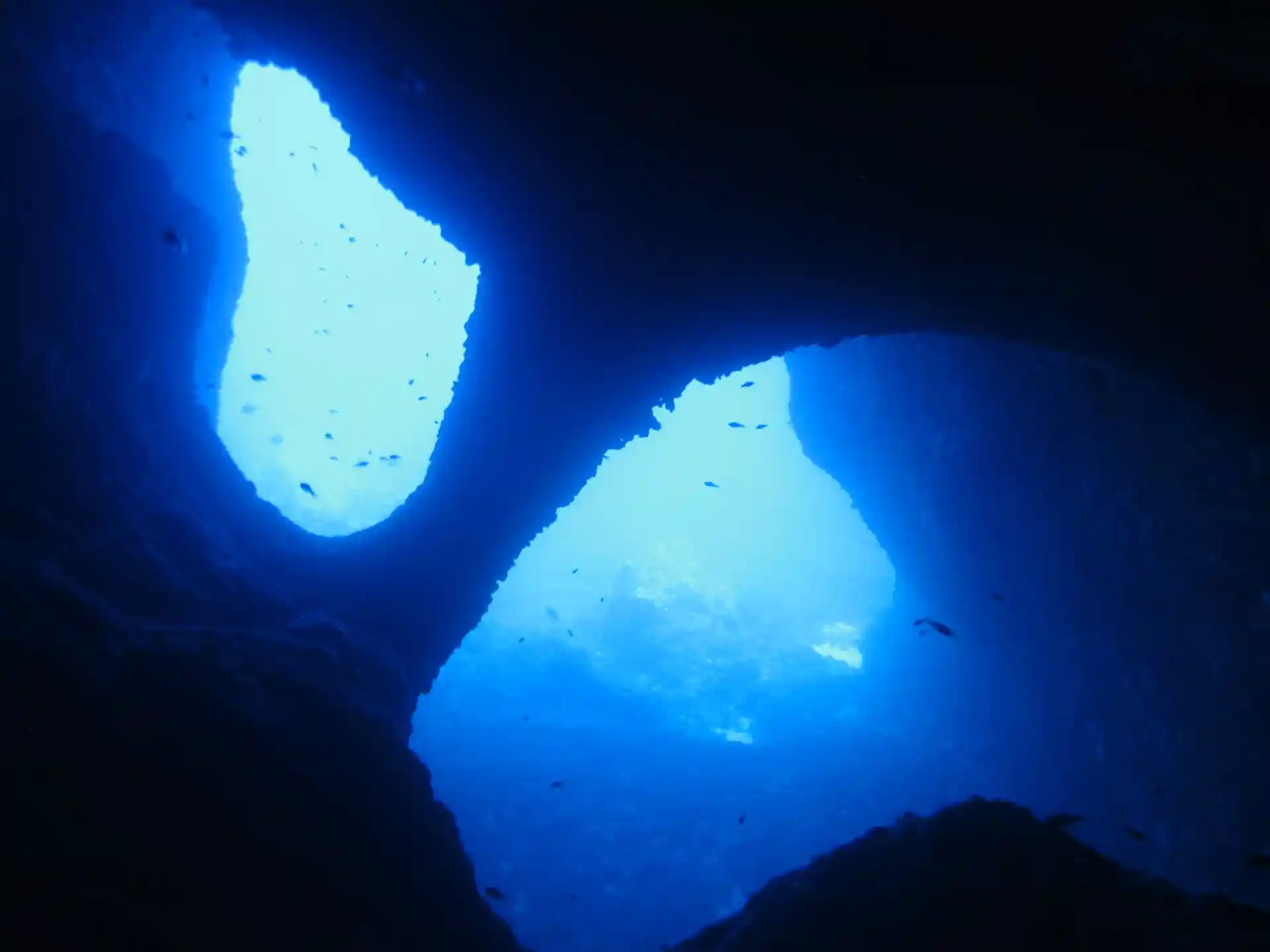 Photo du site de plongée