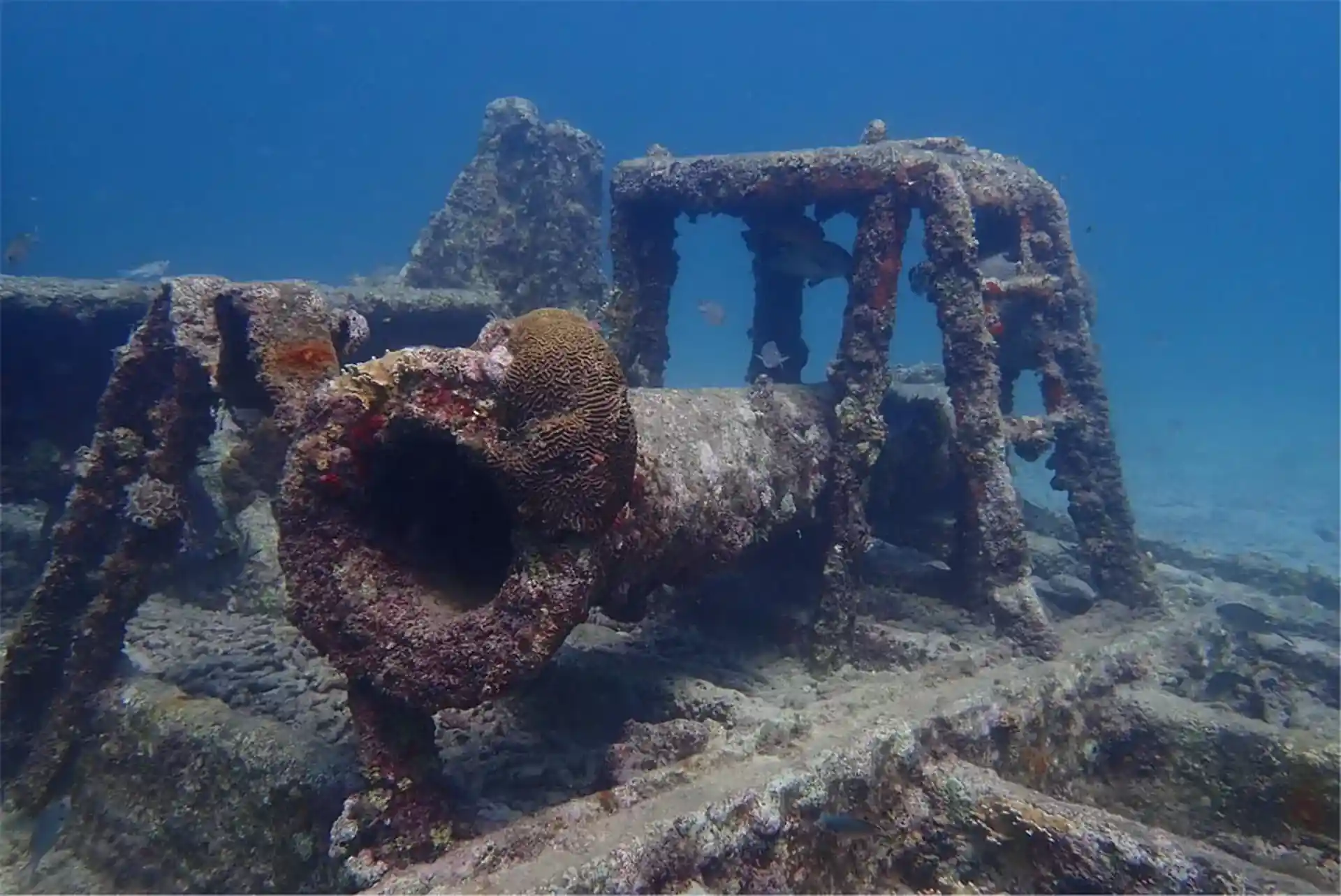 Dive site photo
