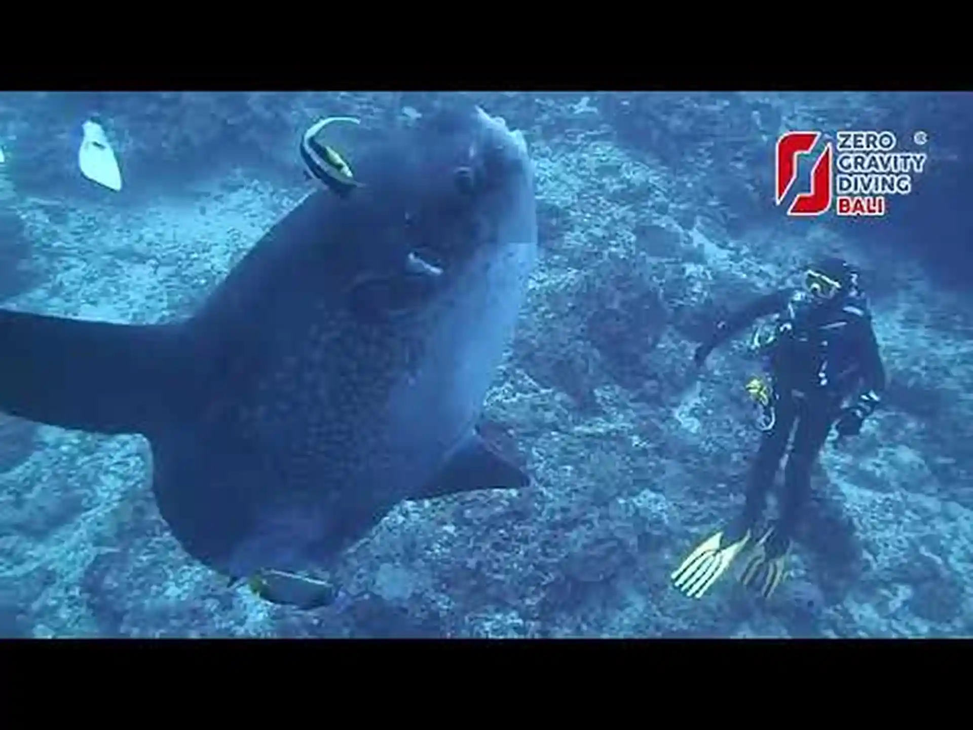 Get a chance to meet deep ocean creatures.