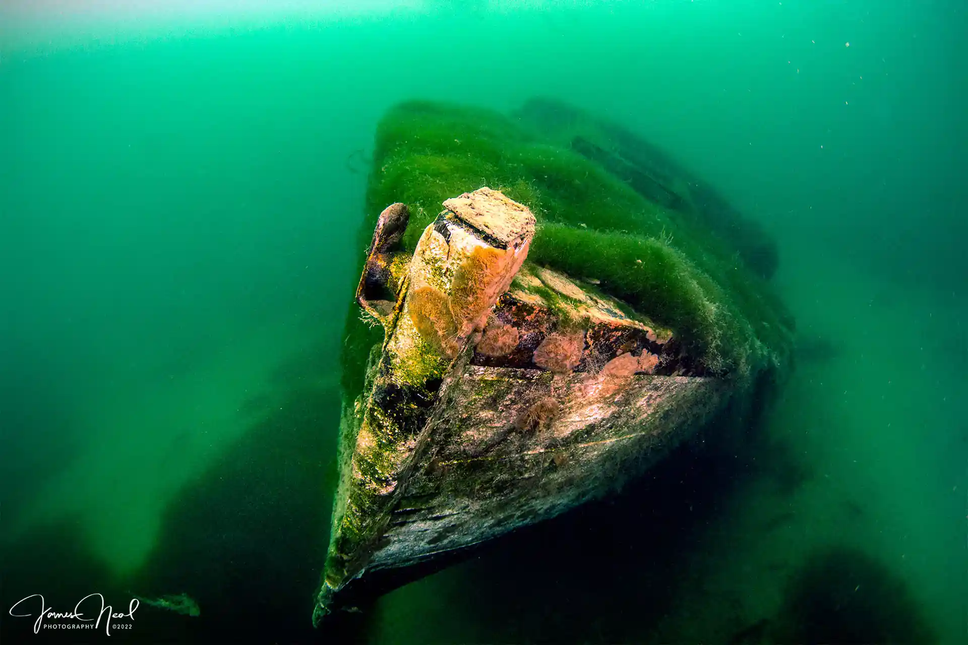Dive site photo