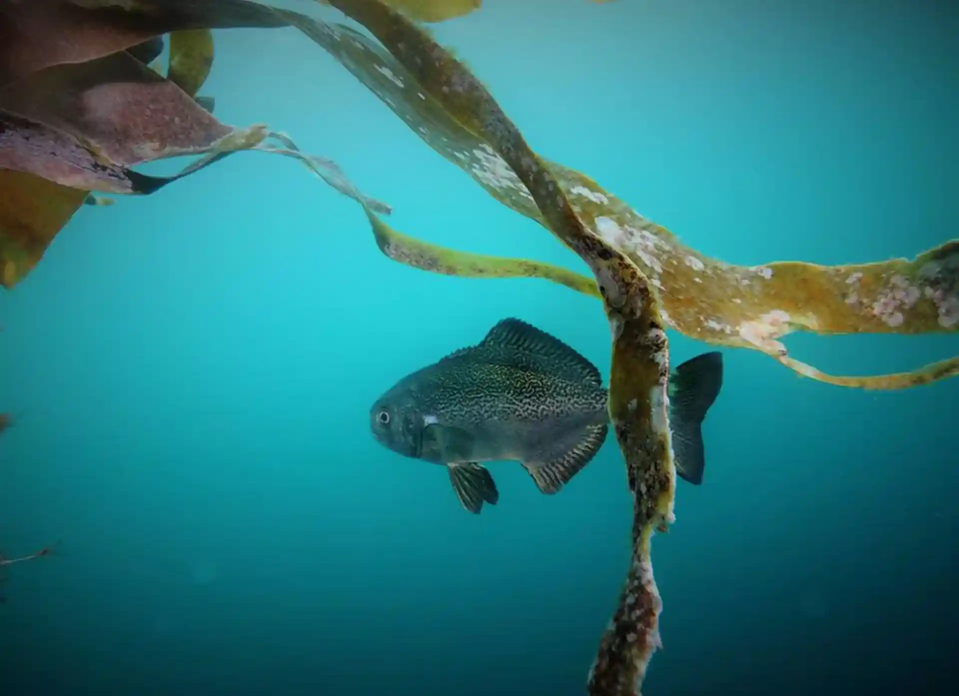 Beautiful Nova Scotia waters