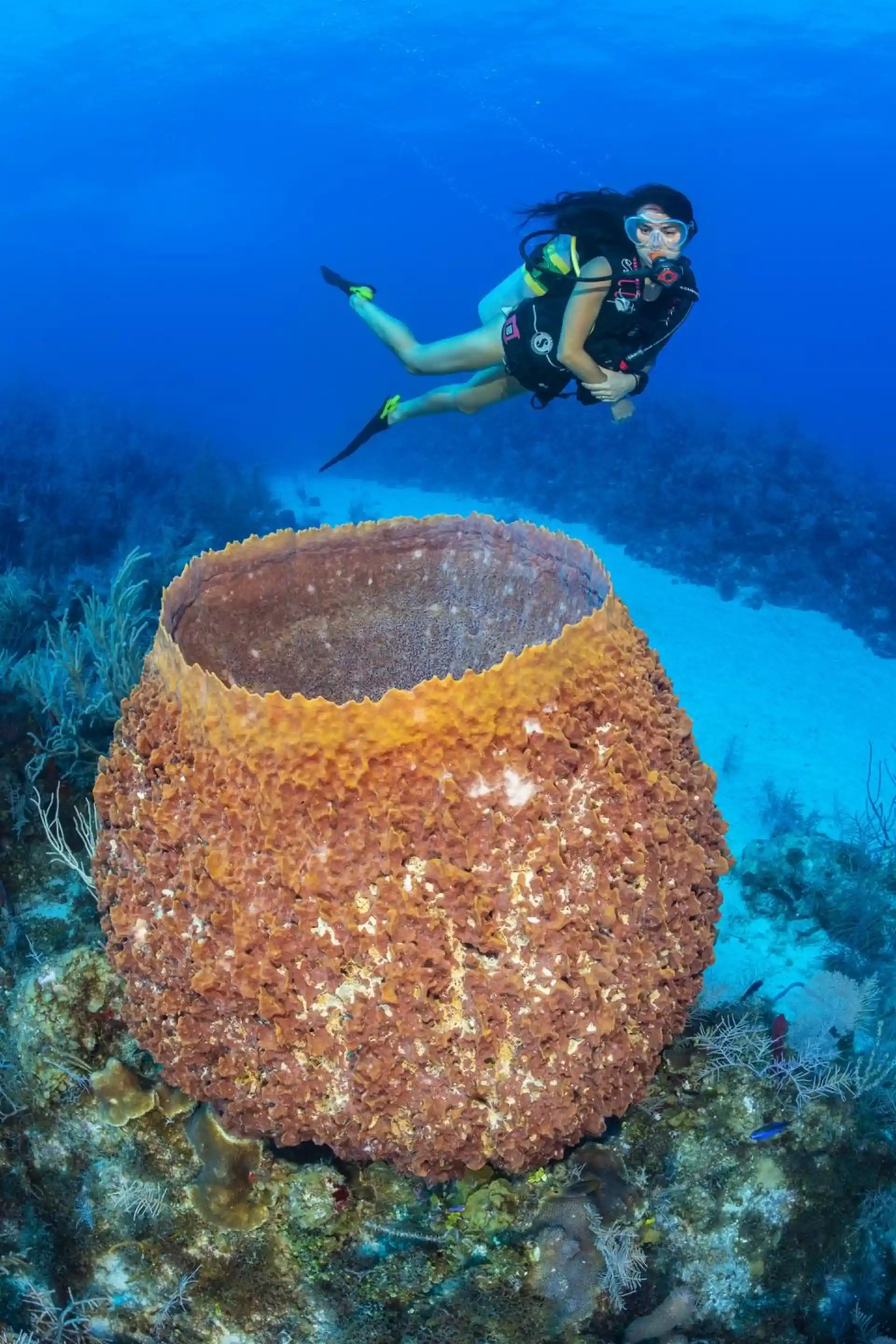 Dive site photo