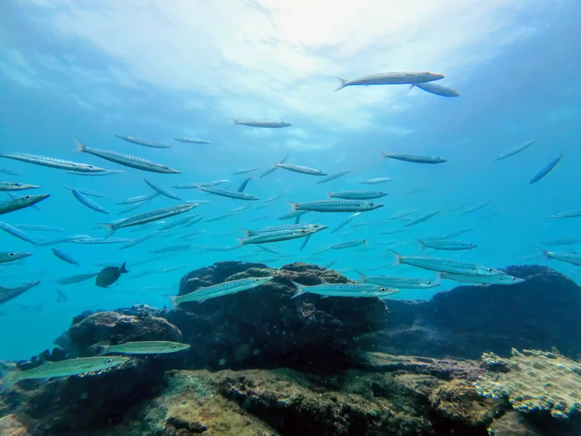Dive site photo