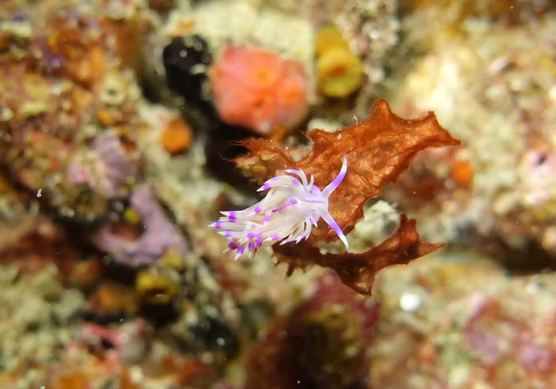 Dive site photo