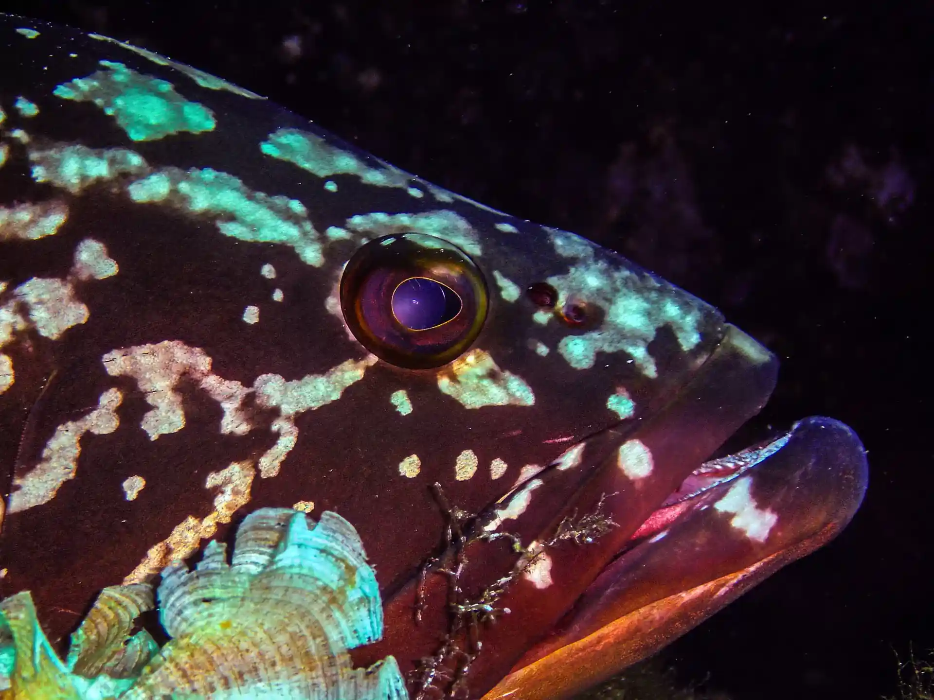 Foto des Tauchplatzes