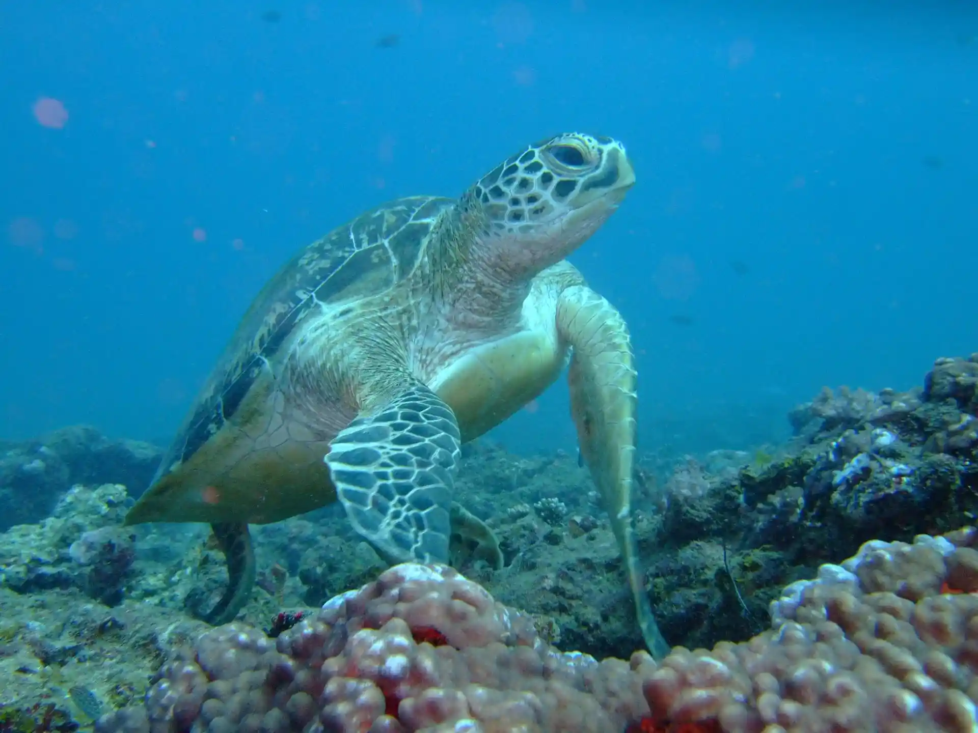 Dive site photo