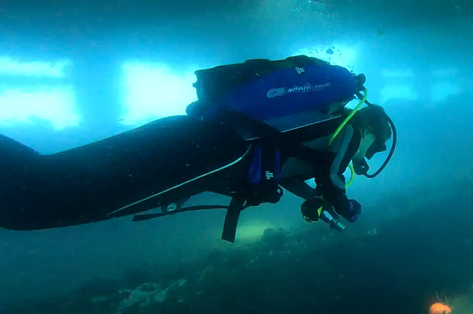 Photo de l'activité