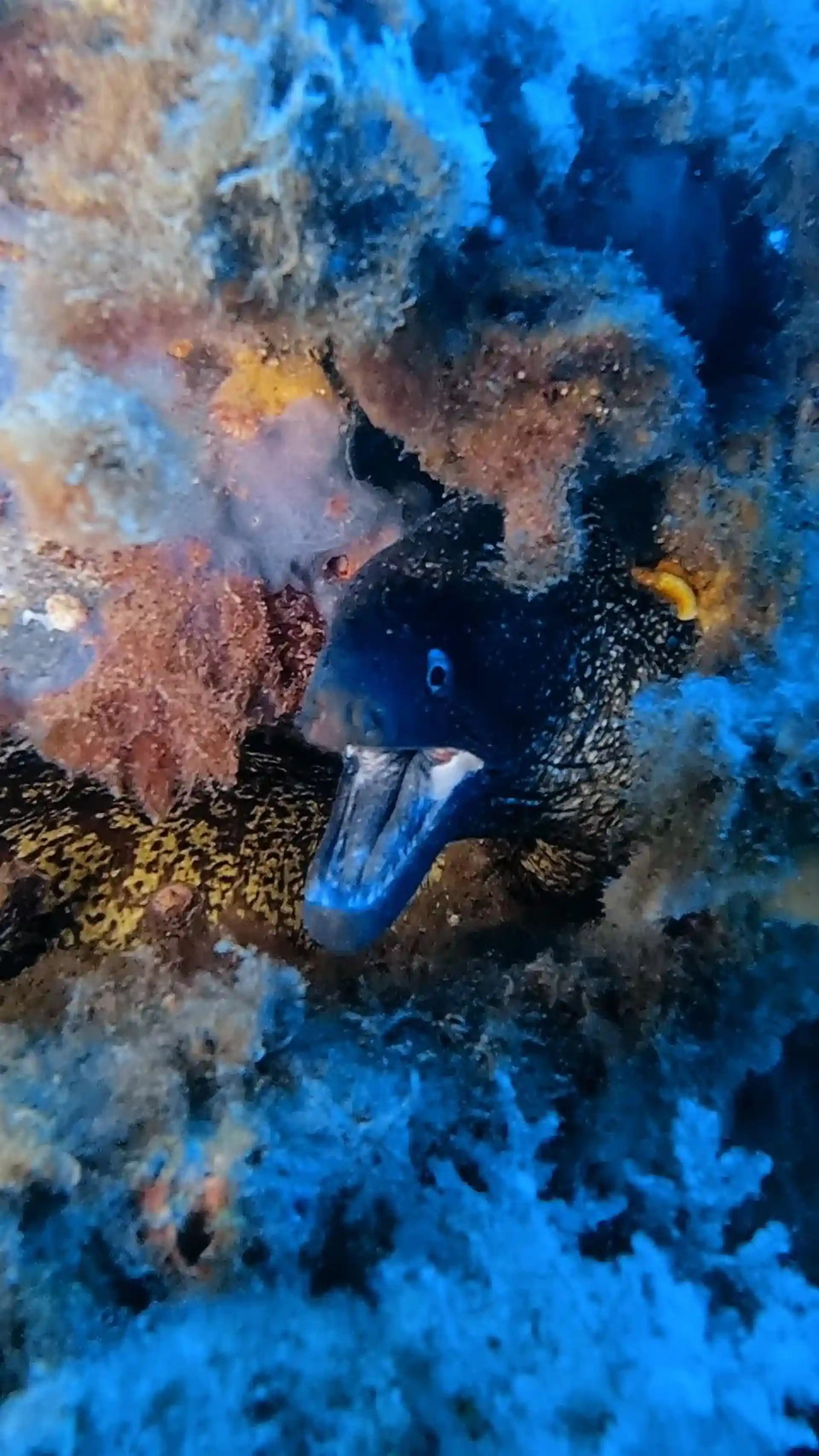 Dive site photo