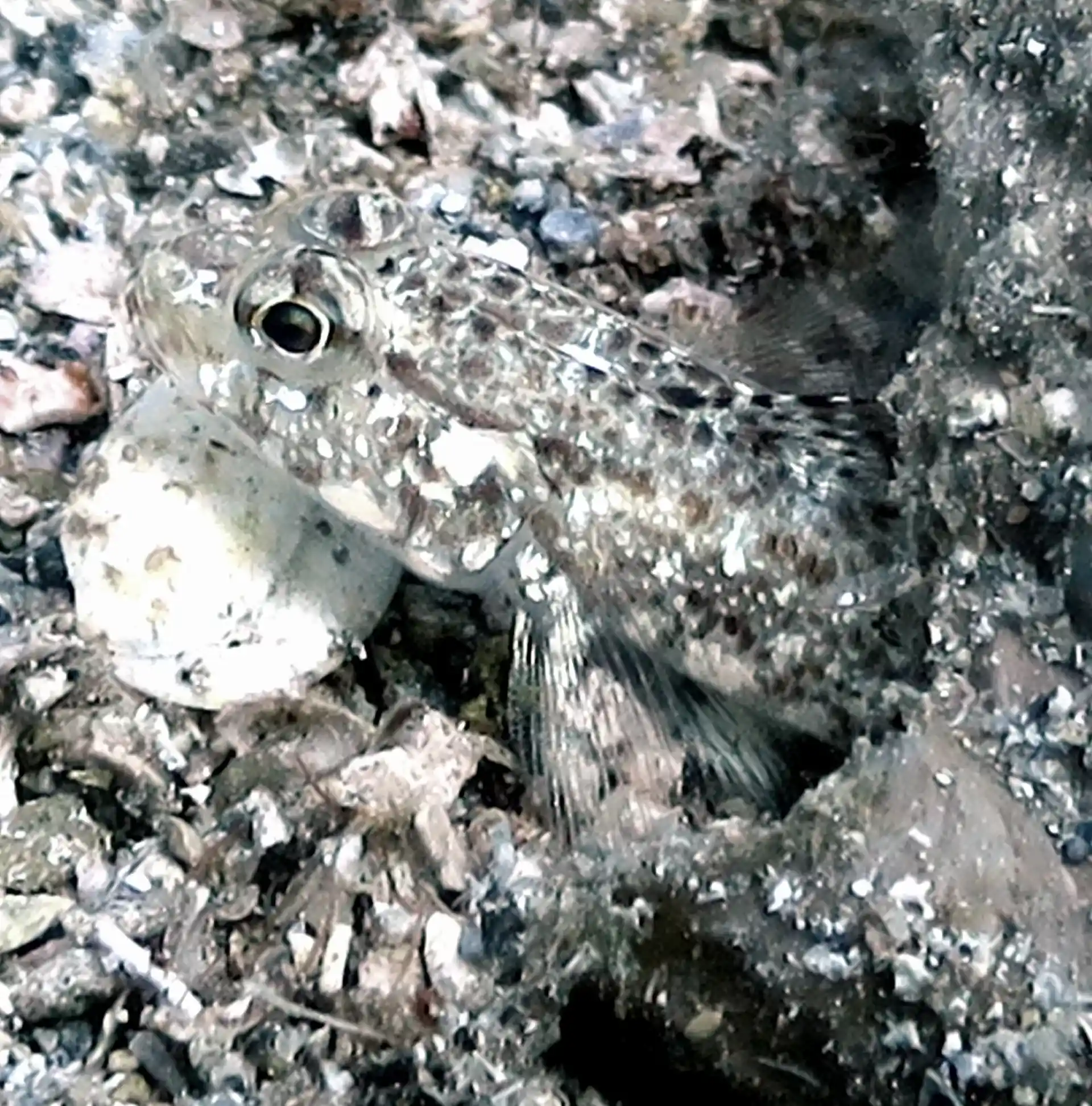 Dive site photo