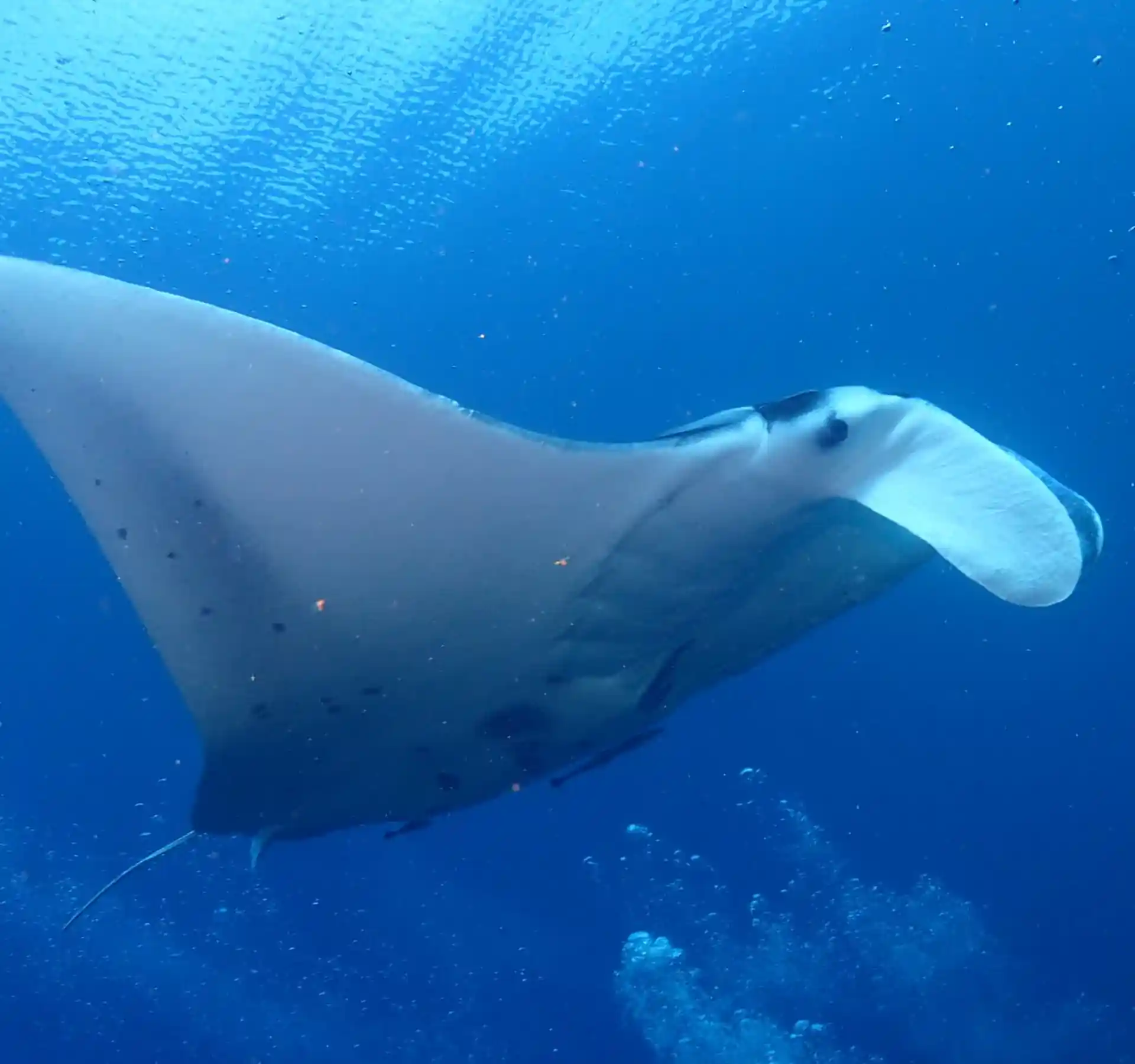Dive site photo