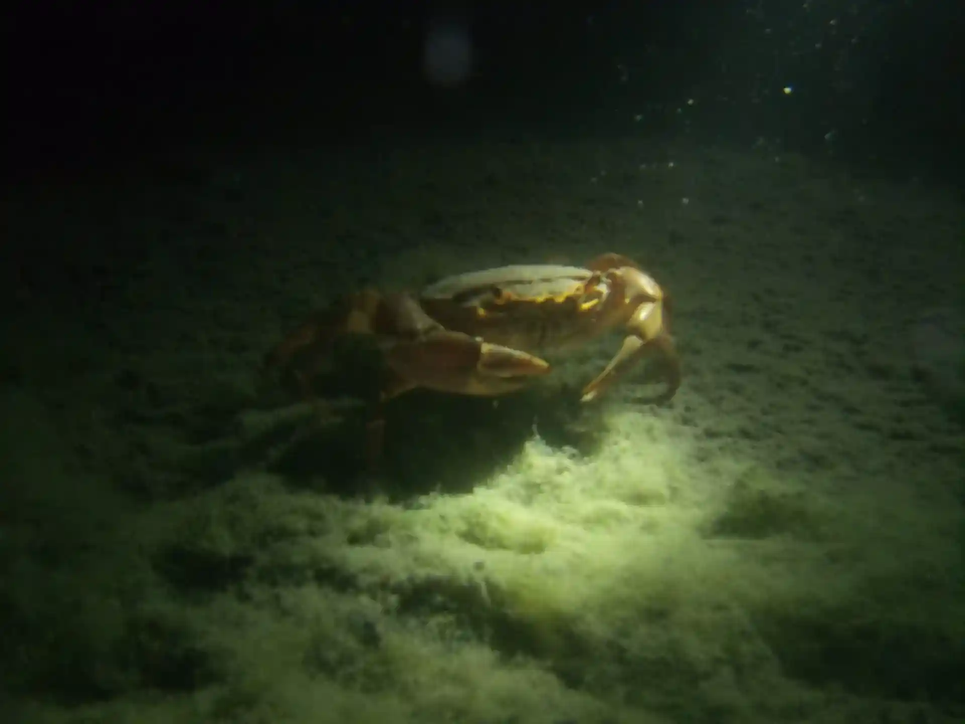 Dive site photo