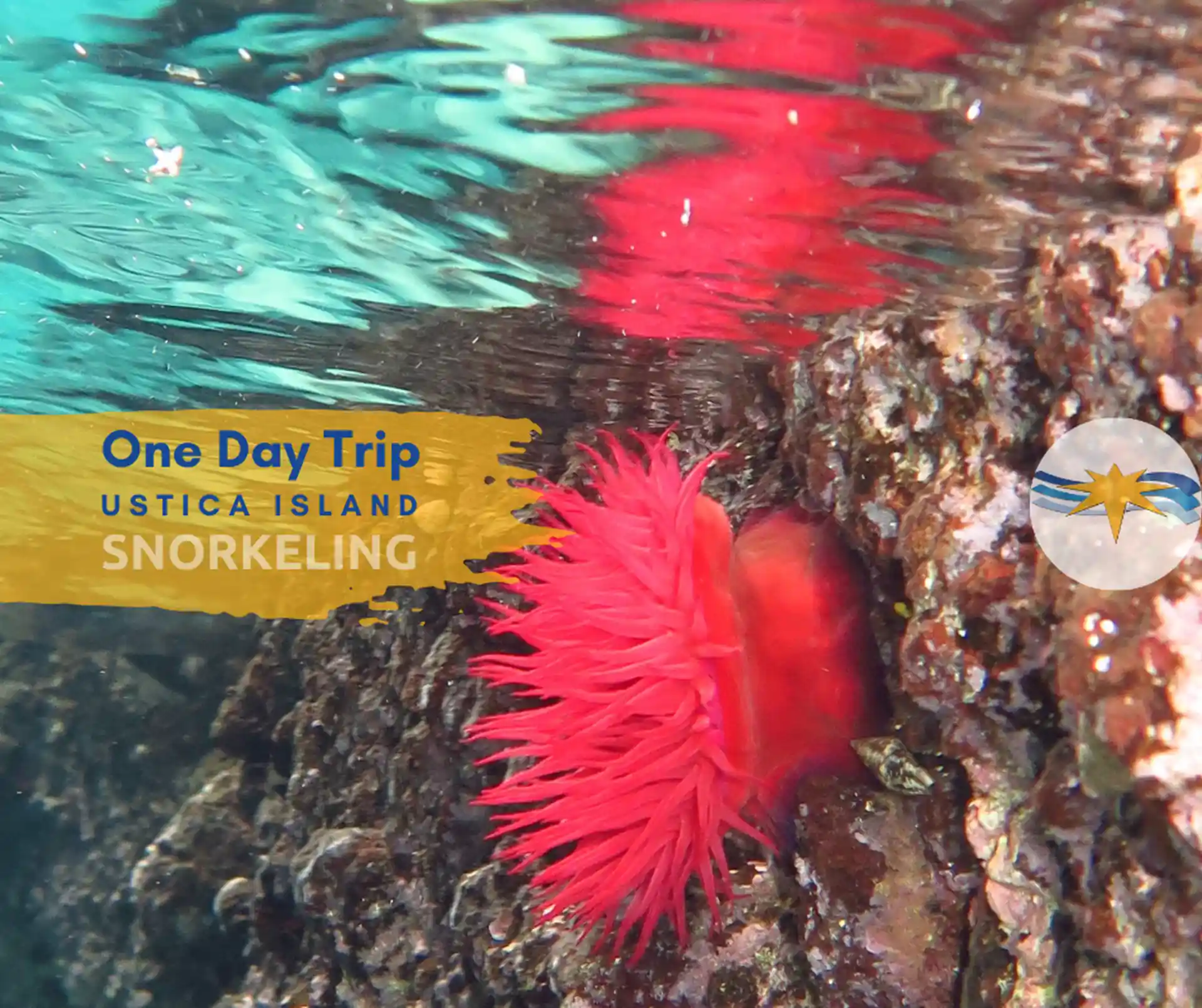 Our experienced nature guide will familiarize you with Mediterranean species