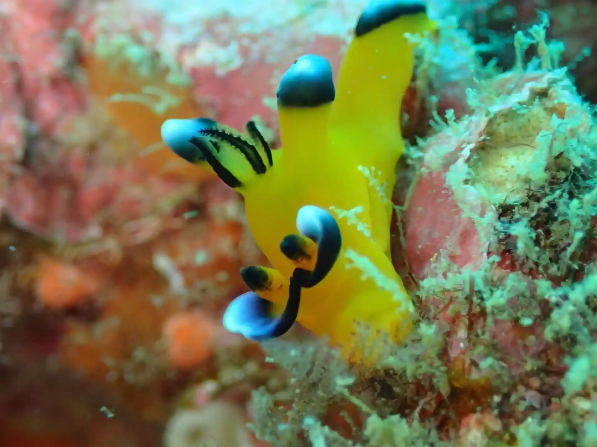 Foto van de duiklocatie