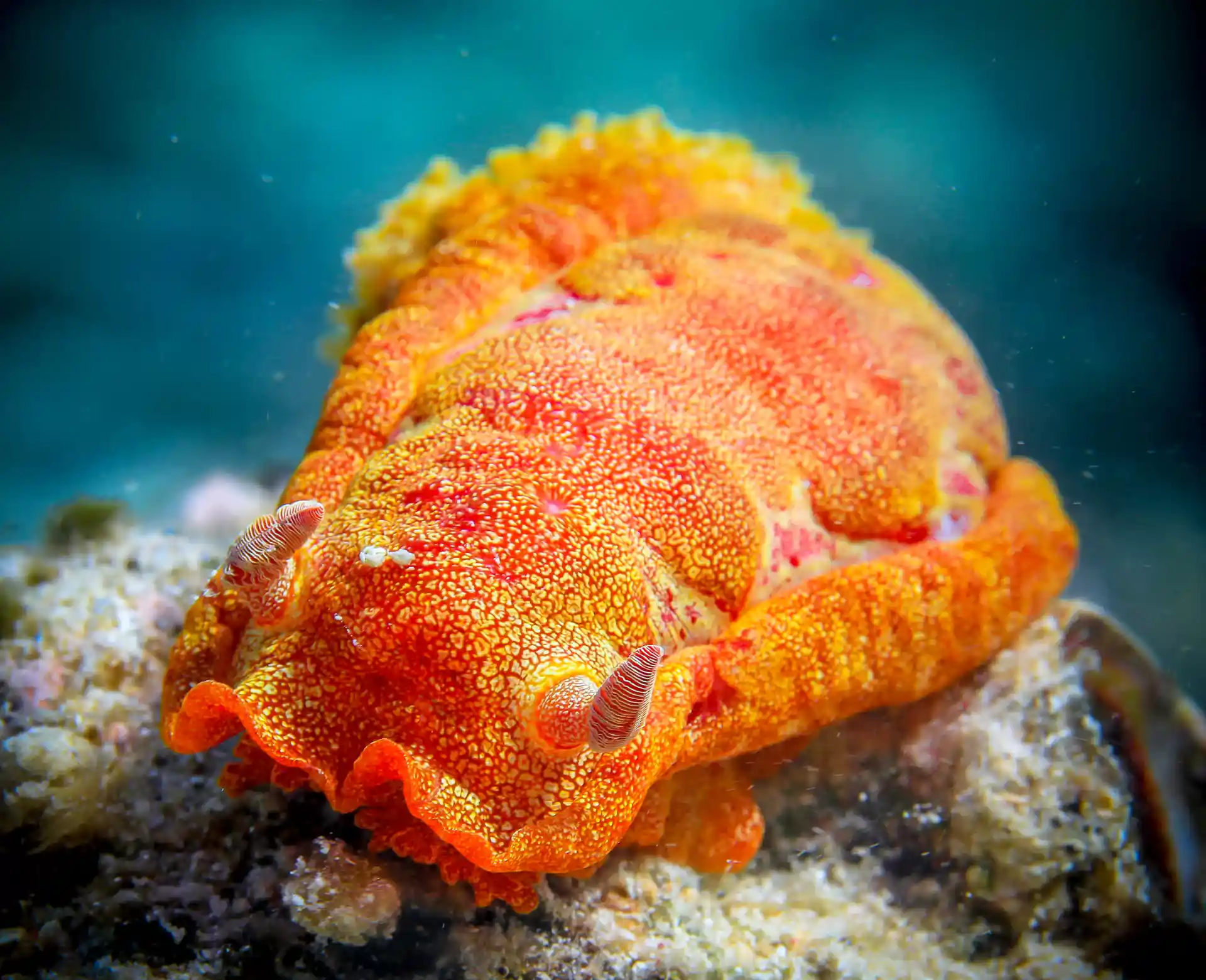 Dive shop photo