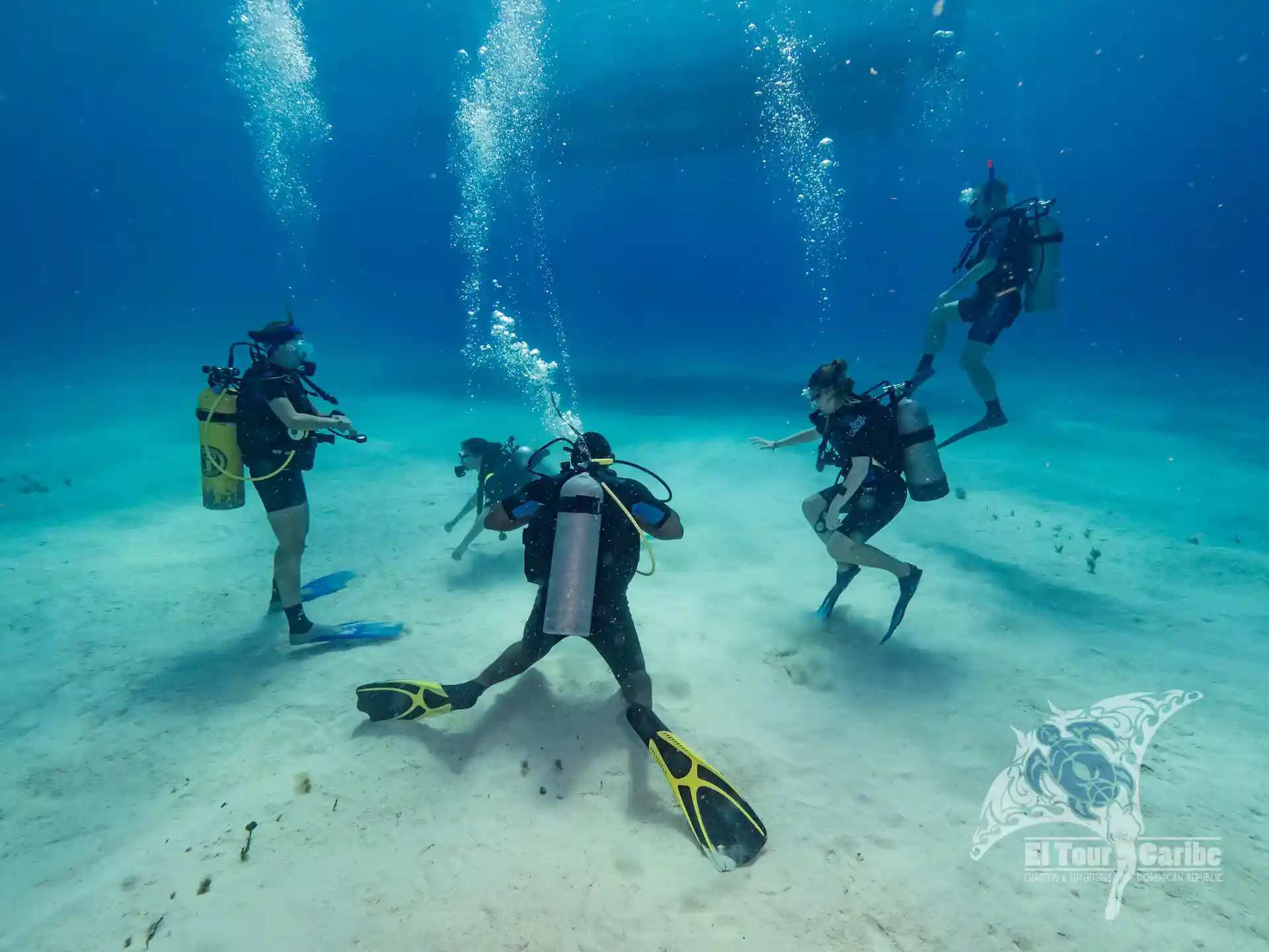 Private instruction with just you and your dive buddies makes for a fabulous experience.