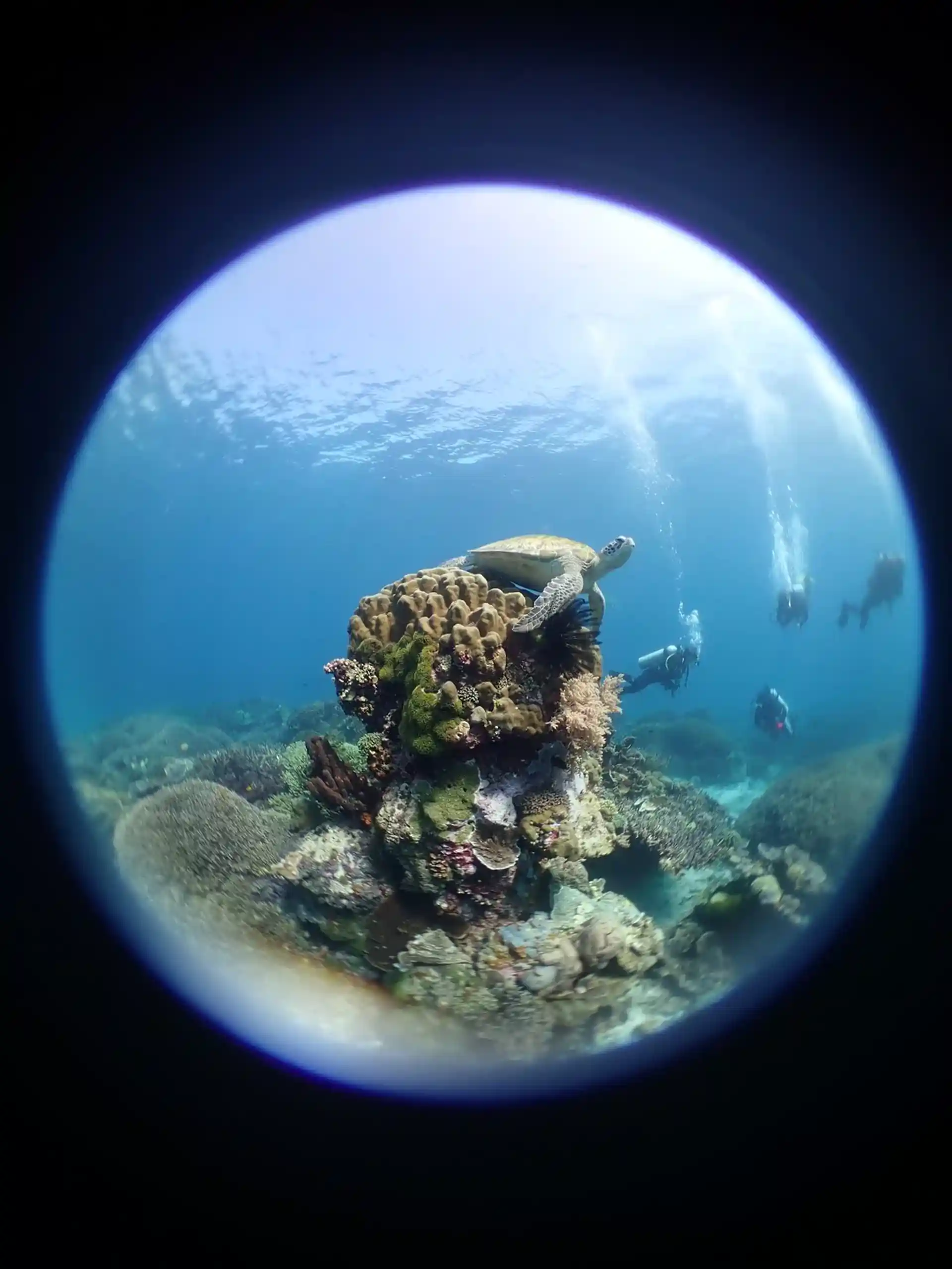 Dive site photo