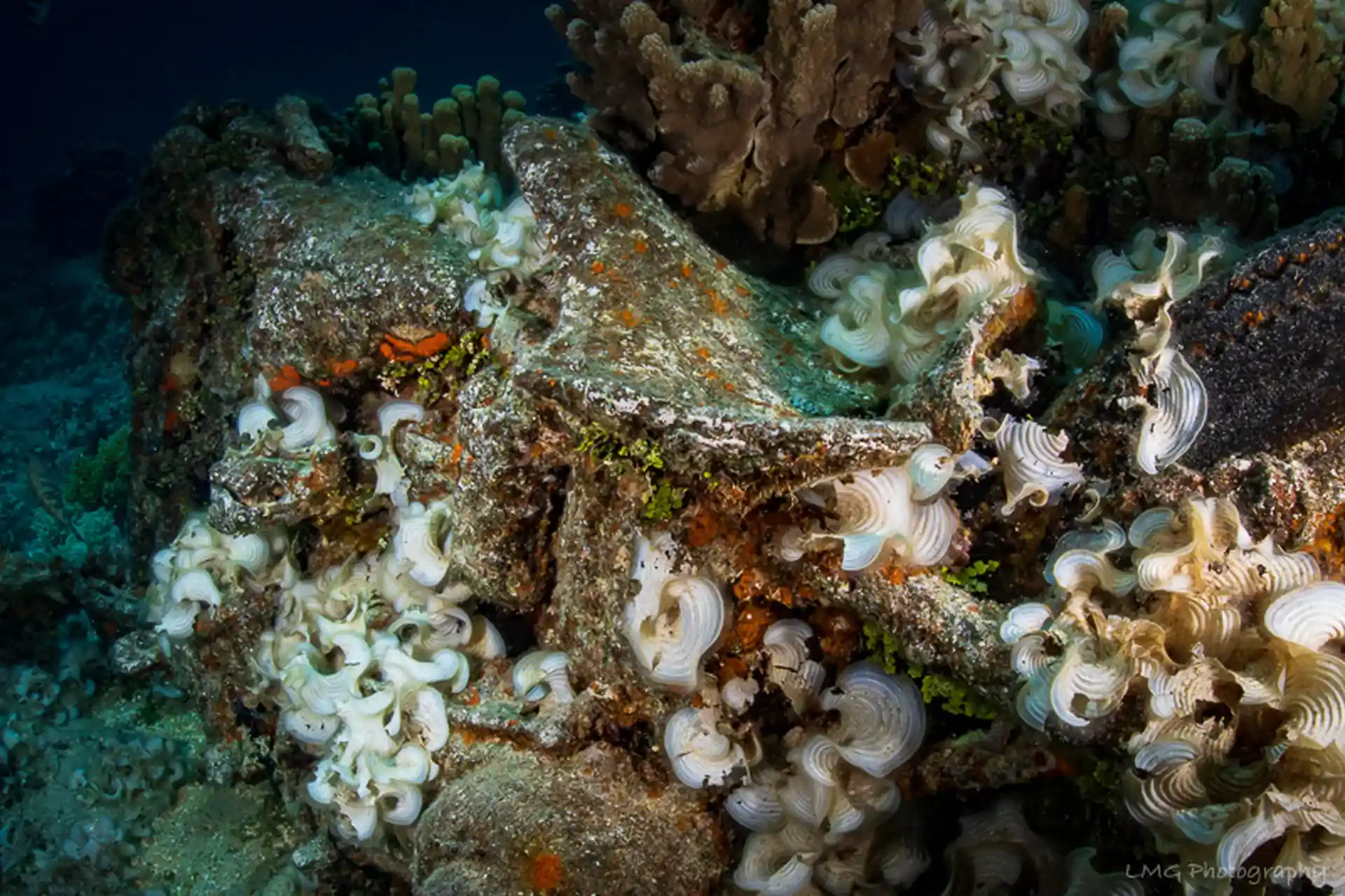 Photo du site de plongée