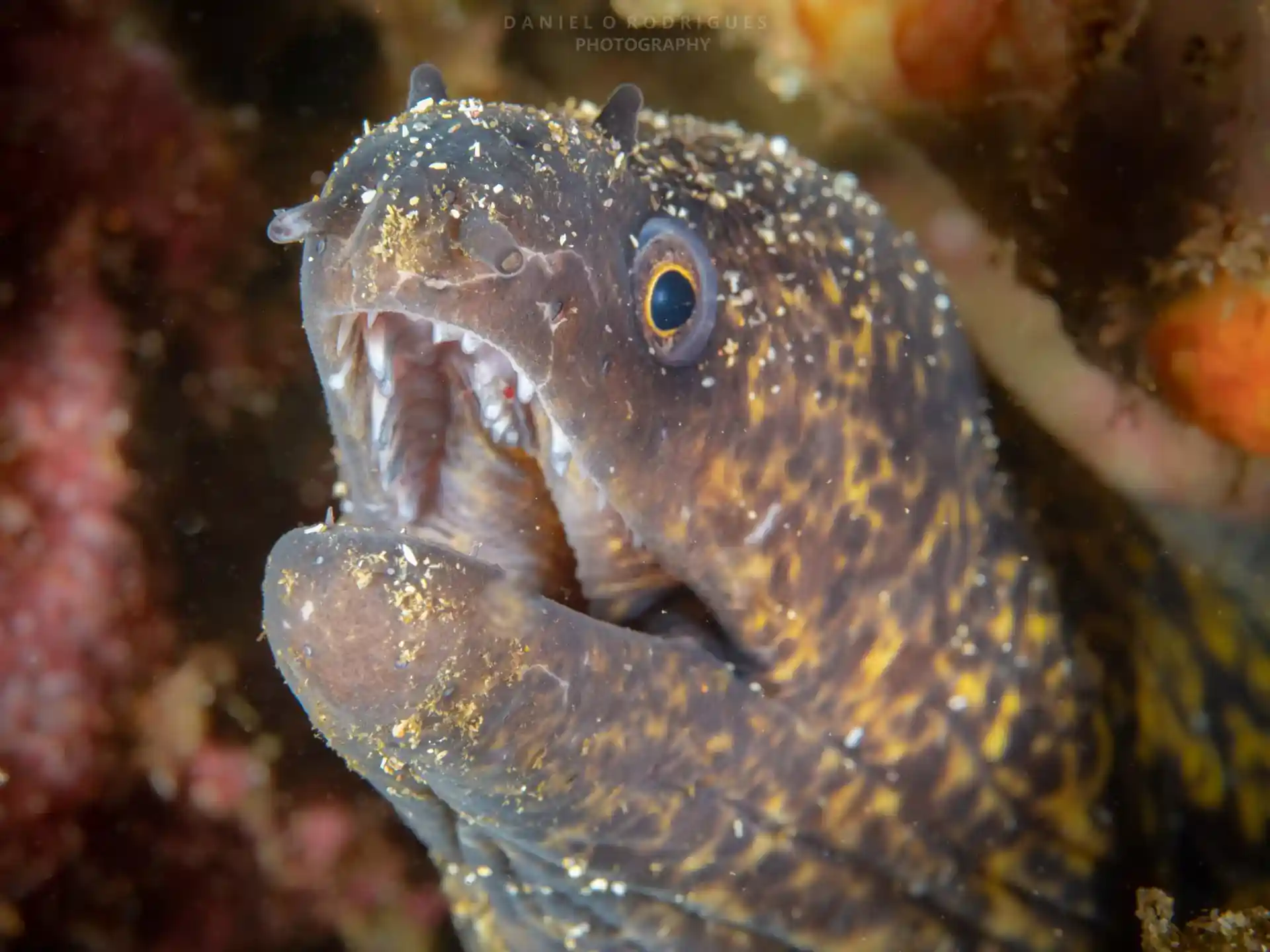 Dive site photo