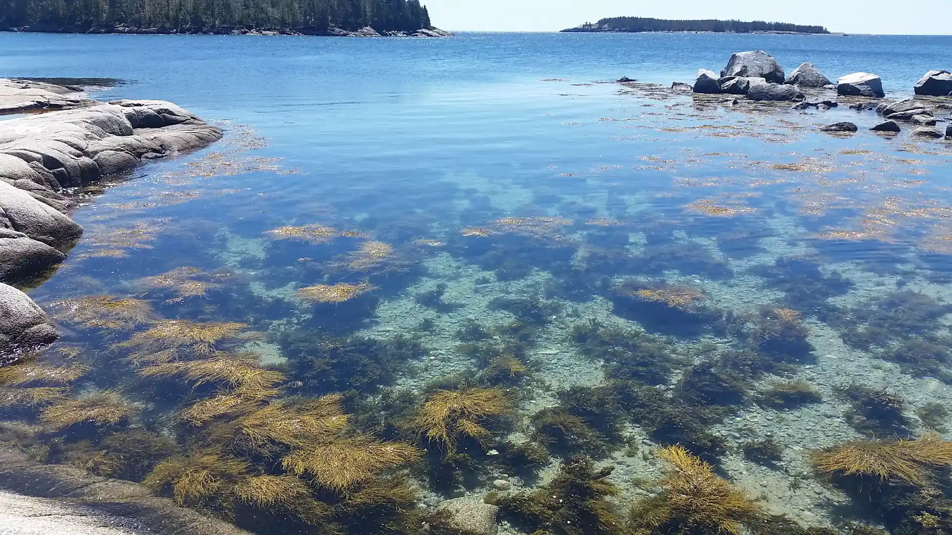Beautiful crystal clear Nova Scotia waters