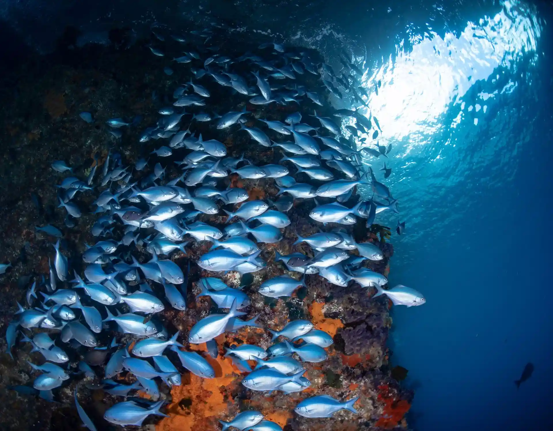 Dive site photo