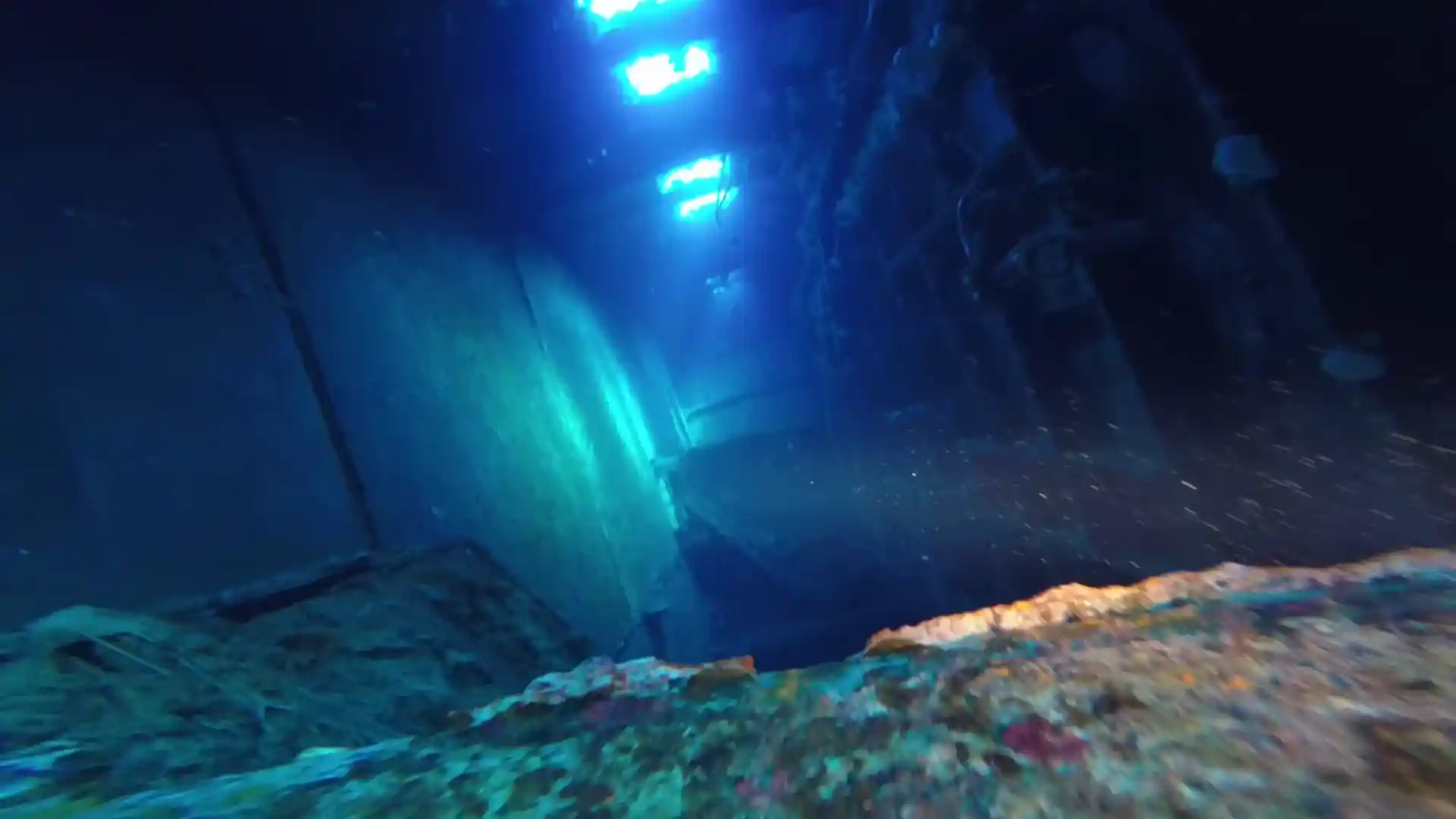 Explore the world famous Zenobia wreck.