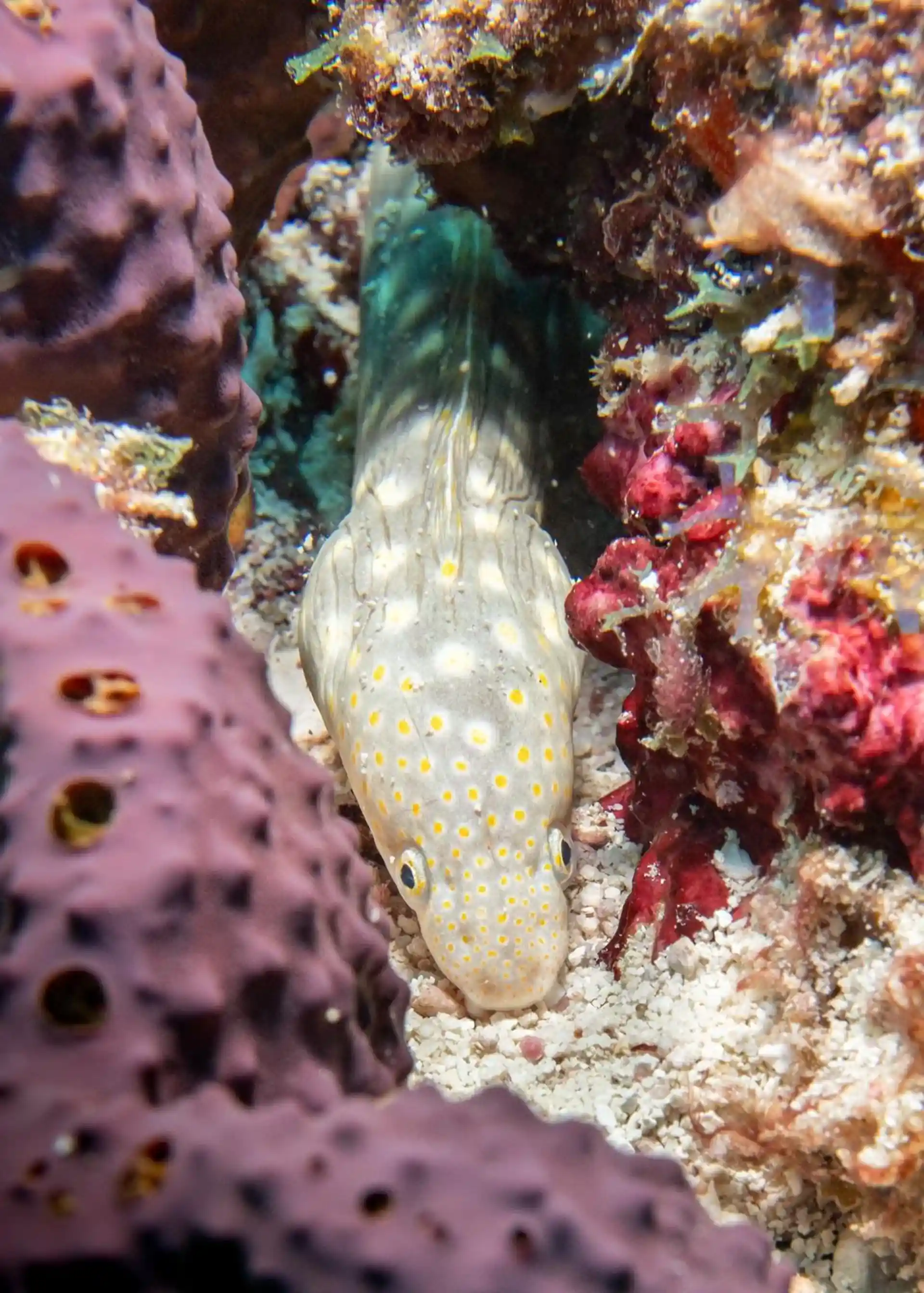 Dive shop photo