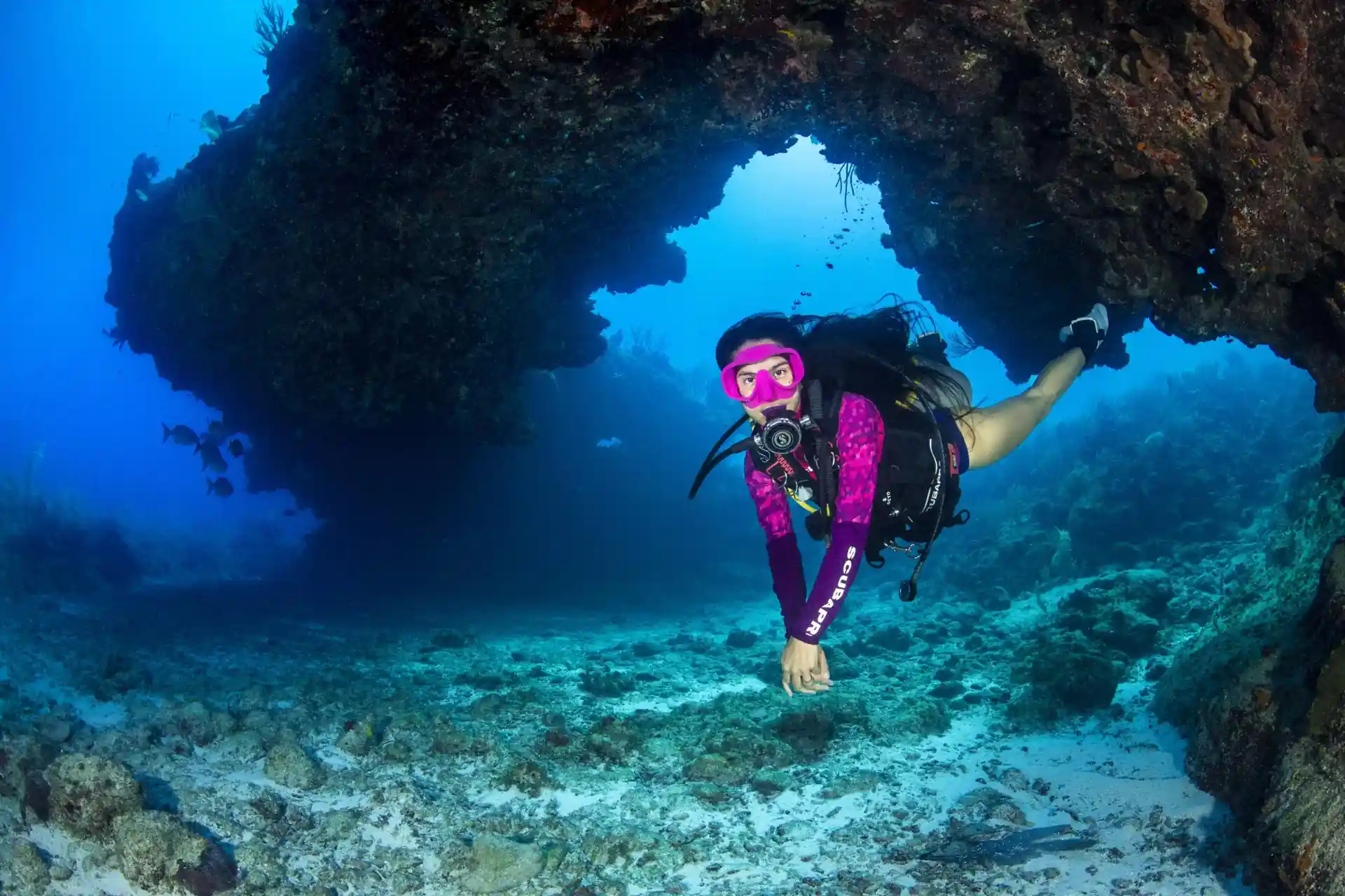 Dive site photo