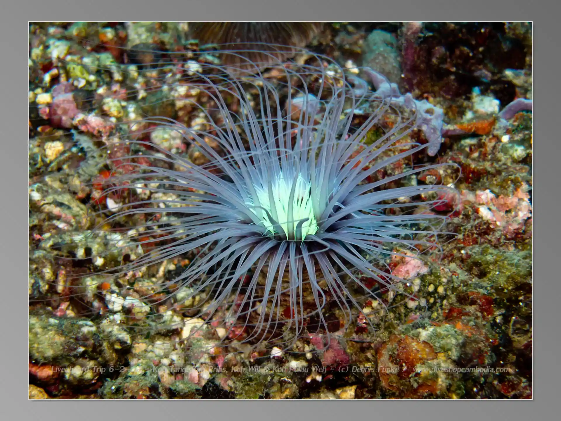 Foto van de duiklocatie