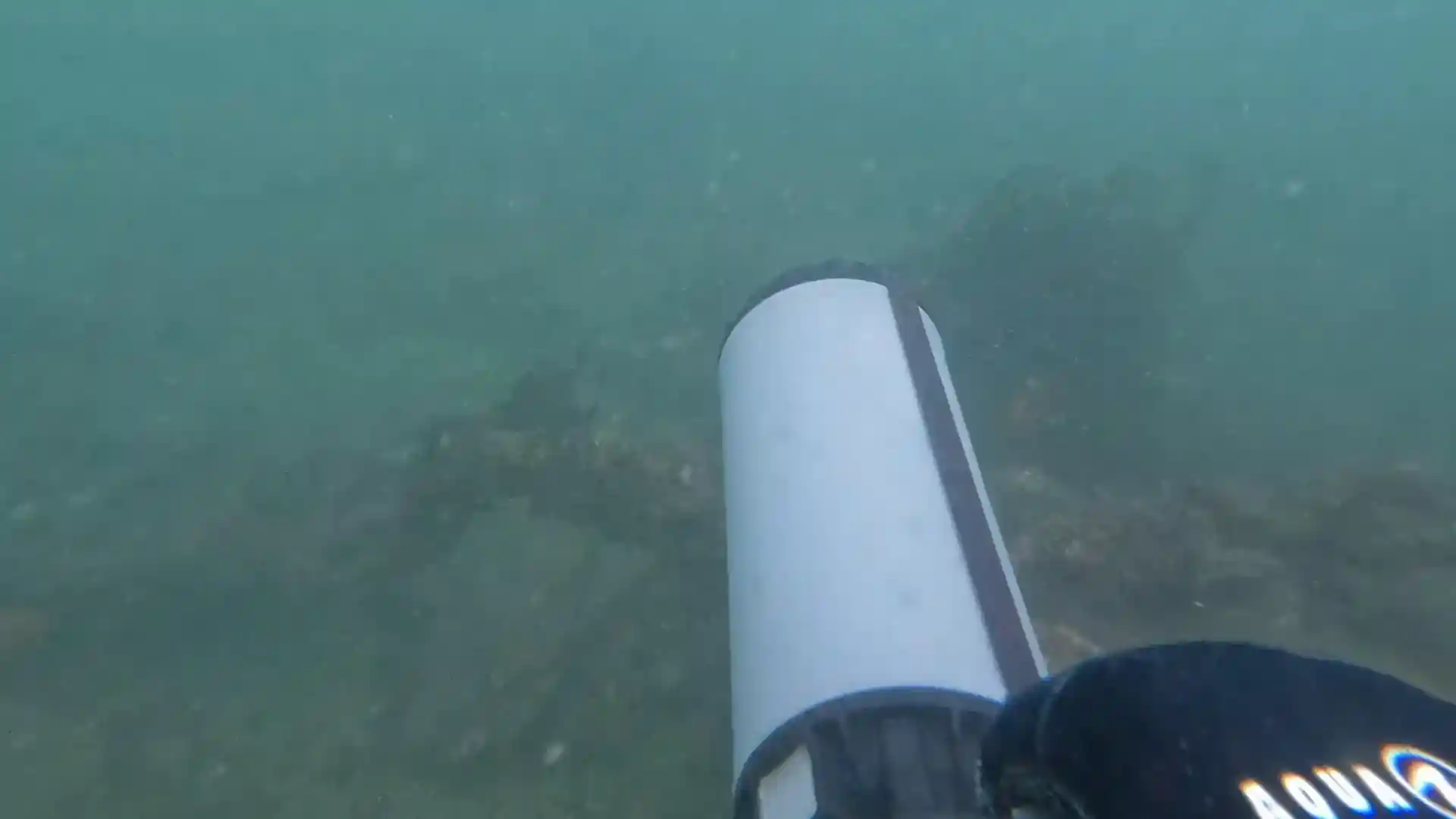 Dive site photo