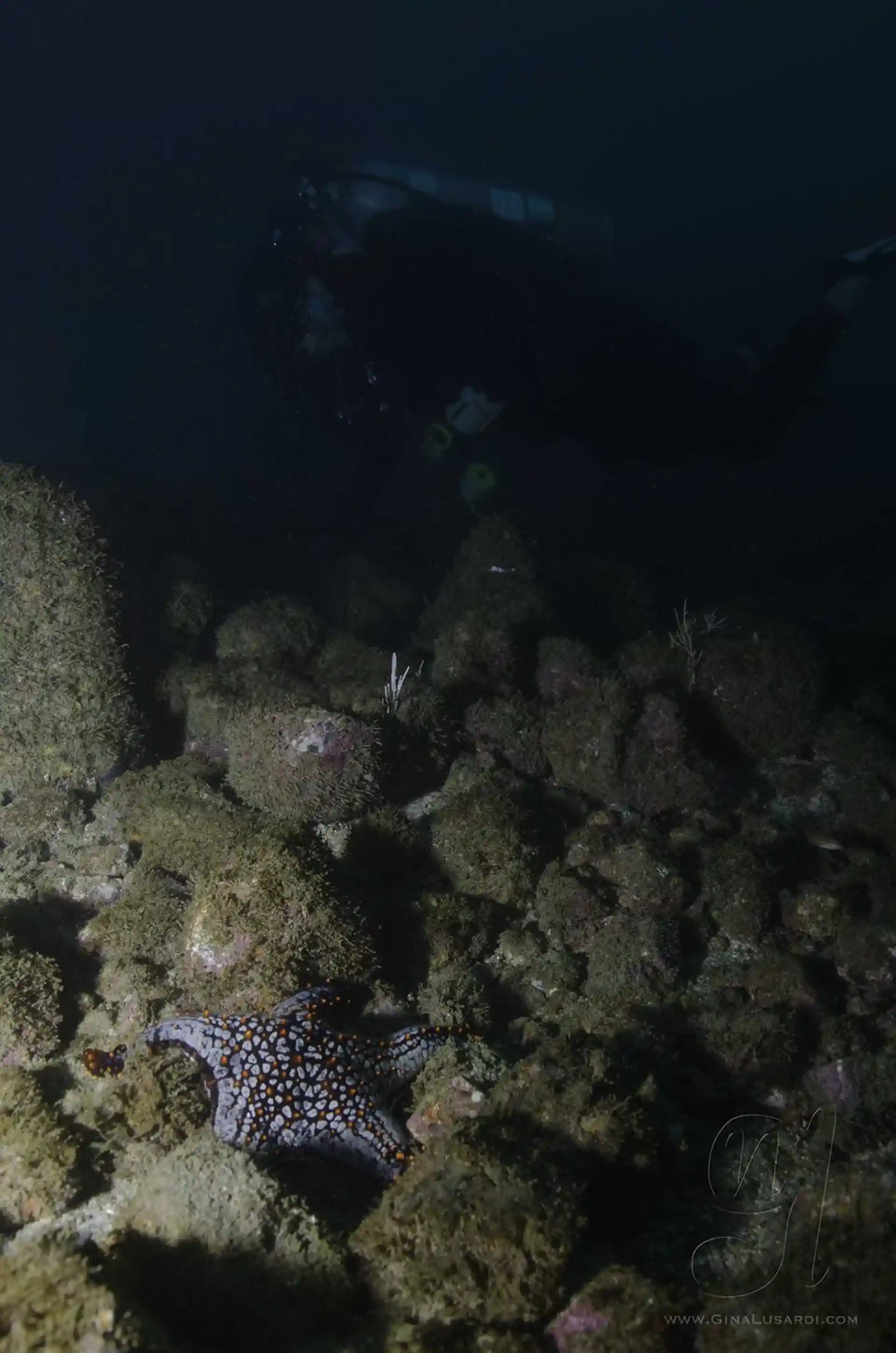 Dive site photo