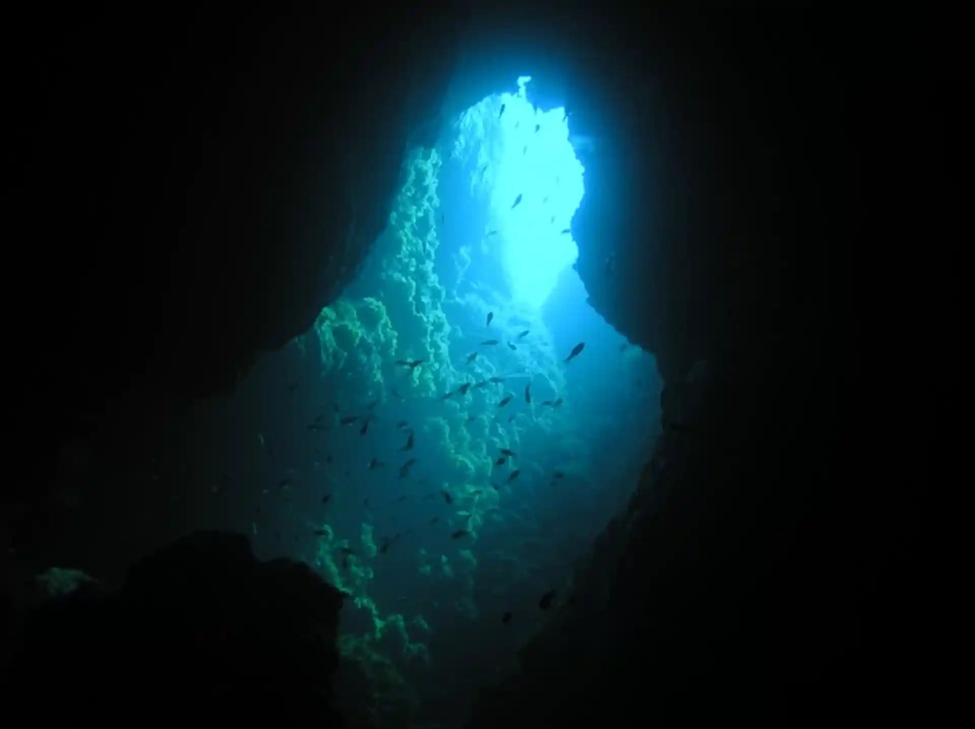 Dive site photo