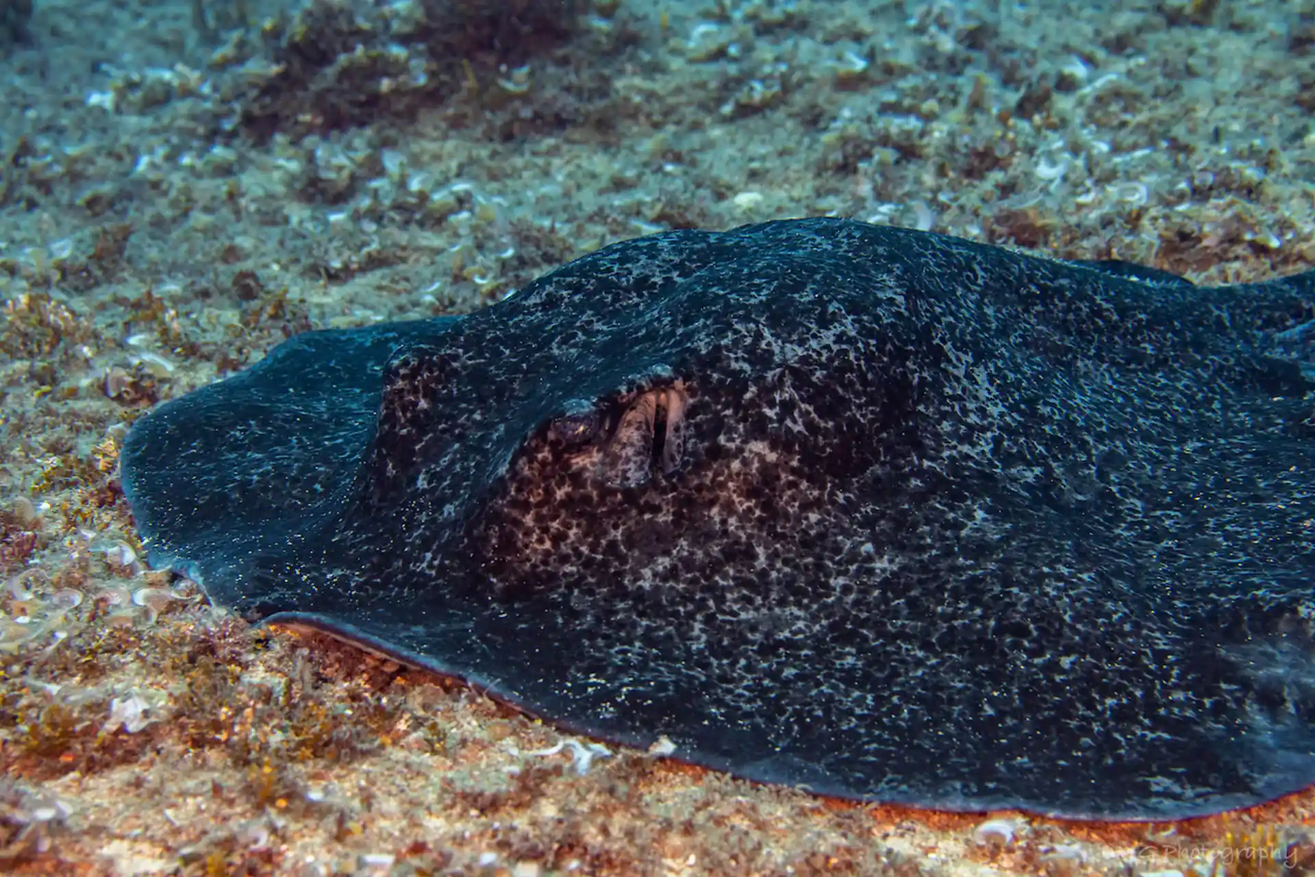 Dive site photo