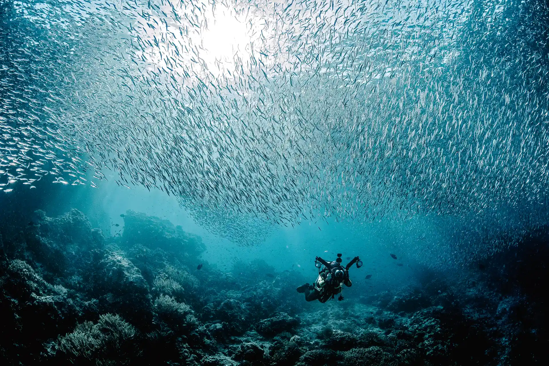 Dive shop photo