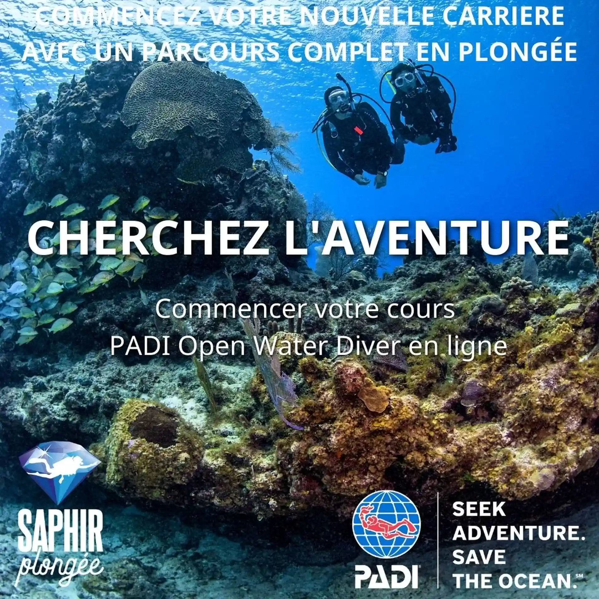 Photo de l'activité