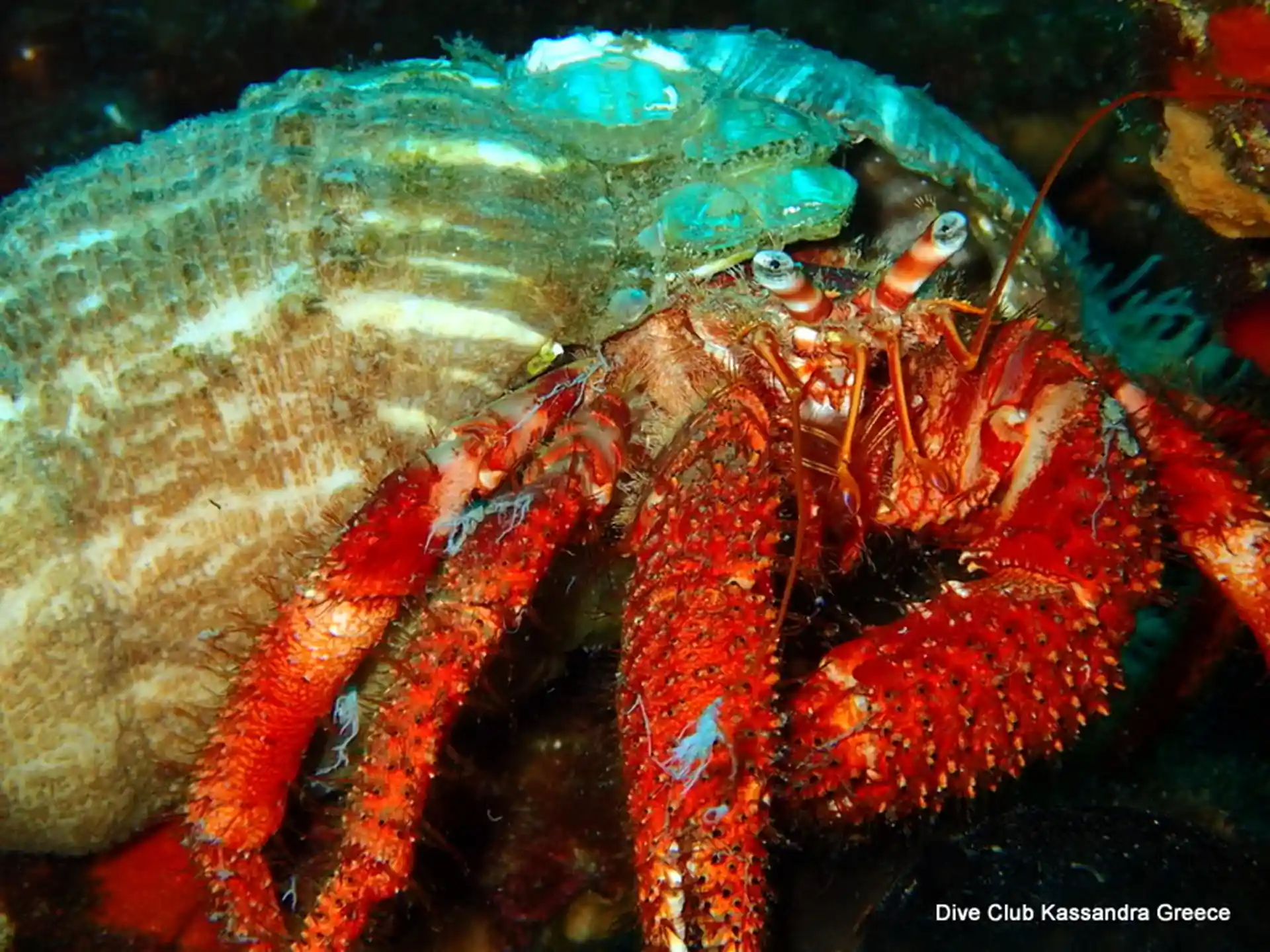 Photo du site de plongée